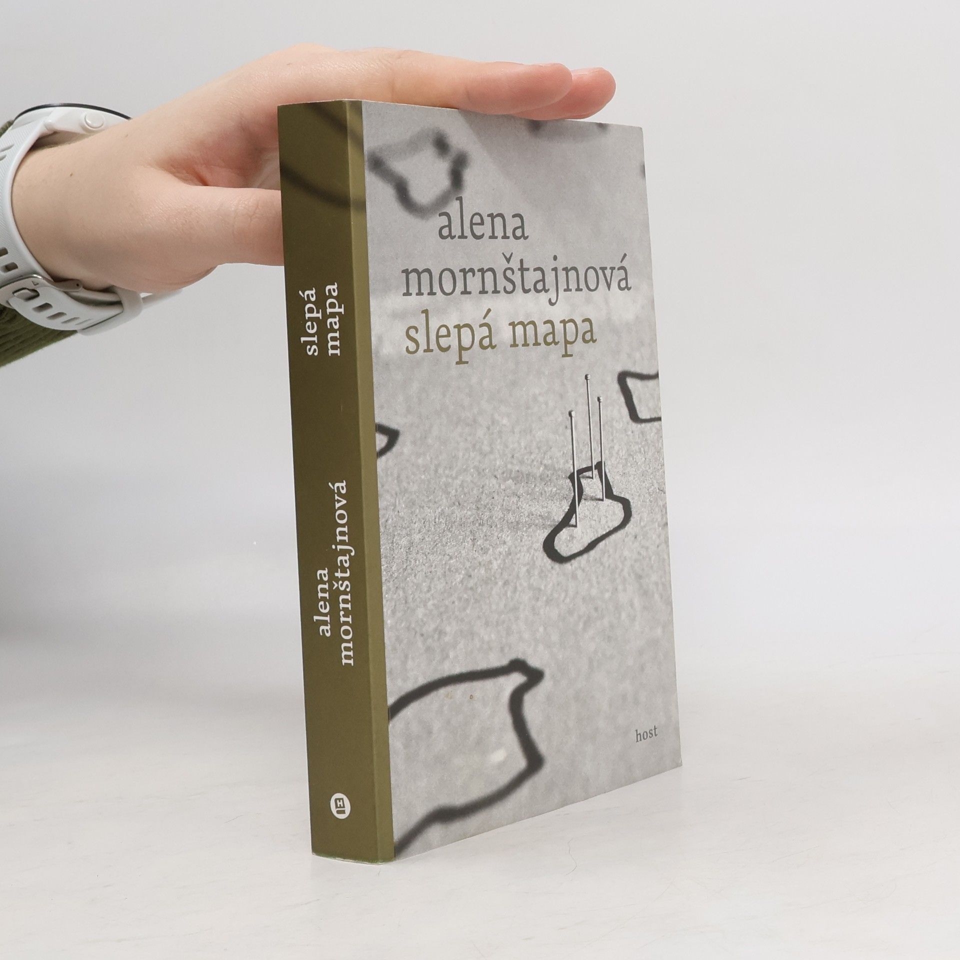 Alena Mornštajnová Slepá mapa