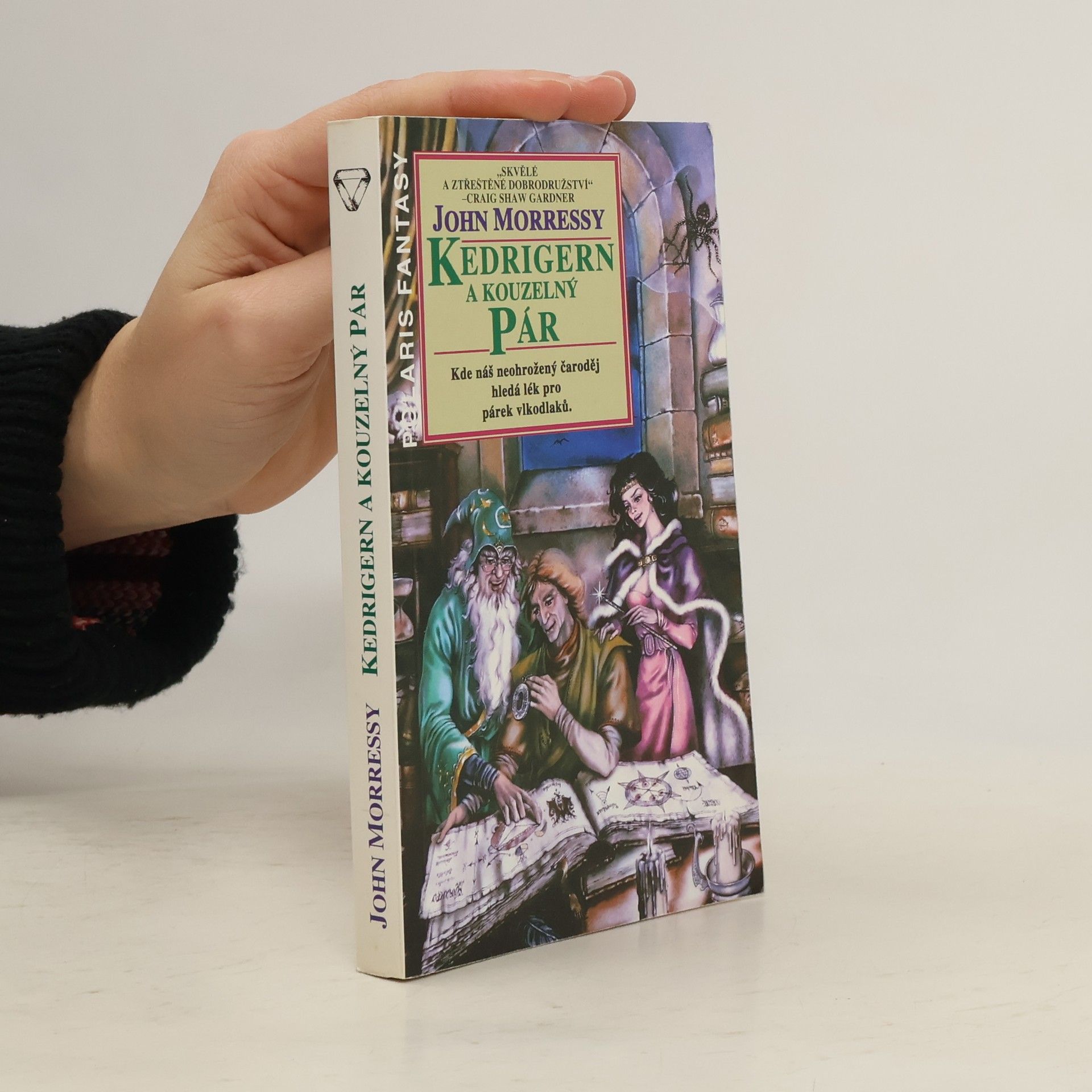 John Morressy Kedrigern a kouzelný pár