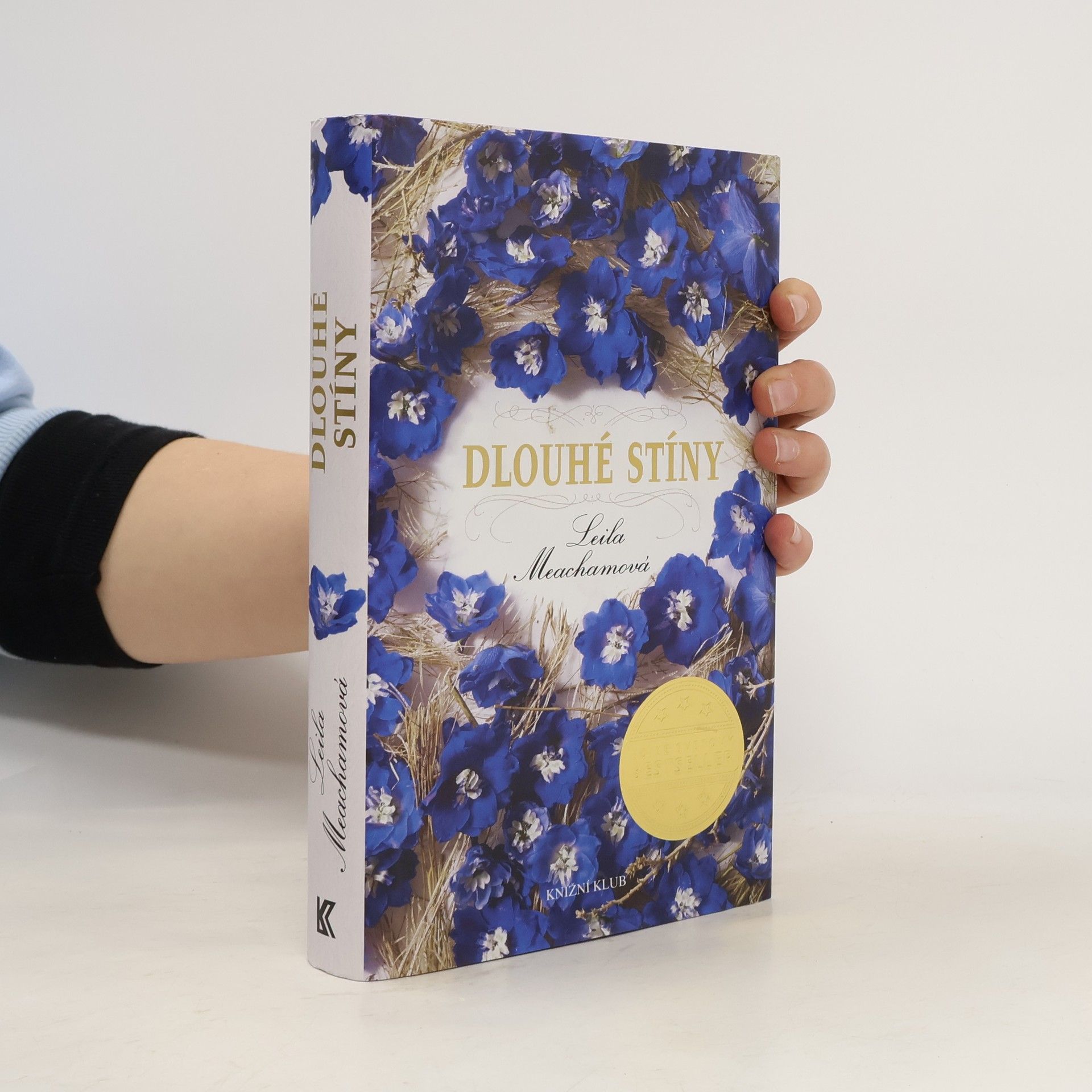 Leila Meacham Dlouhé stíny