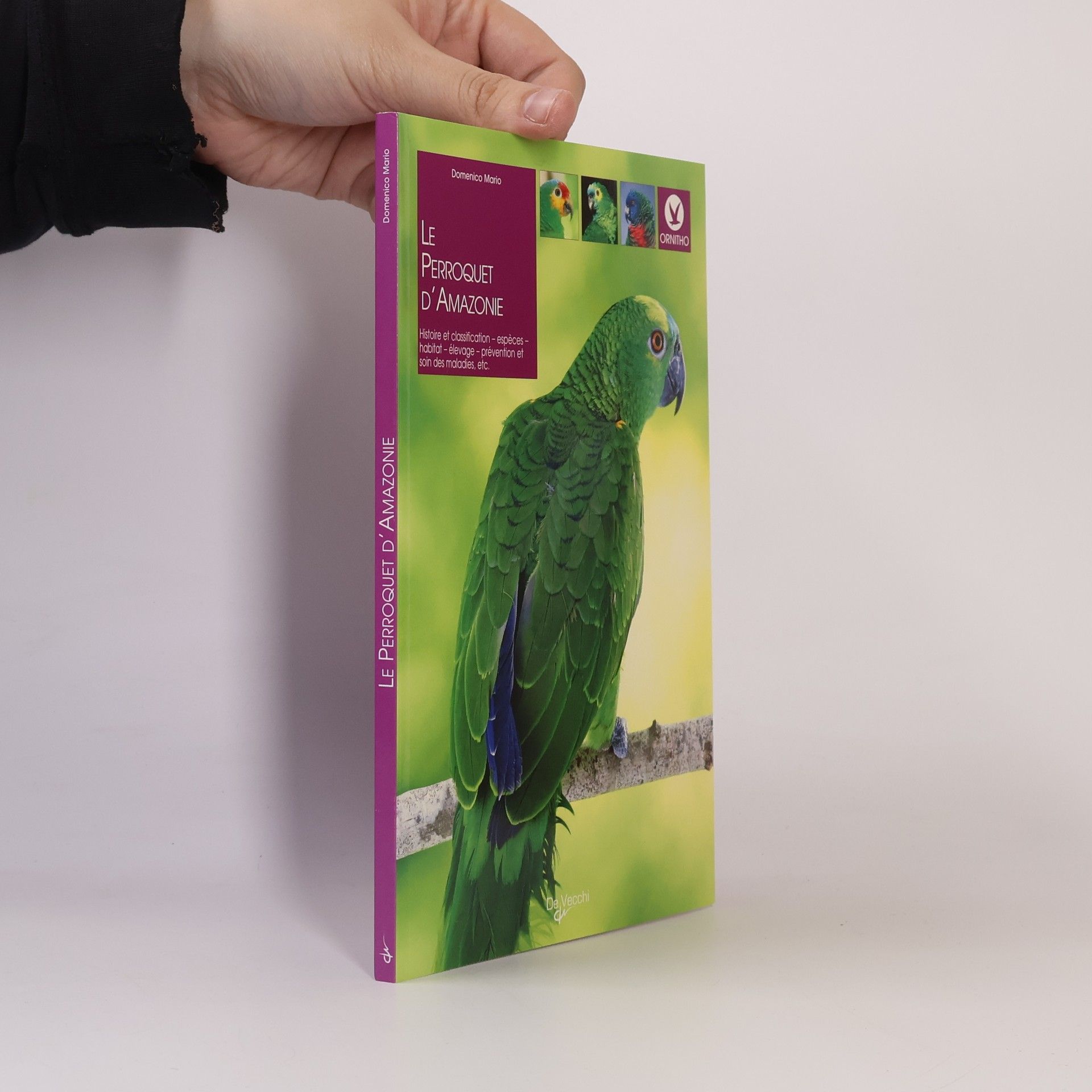 Dominique Mario Le Perroquet d'Amazonie
