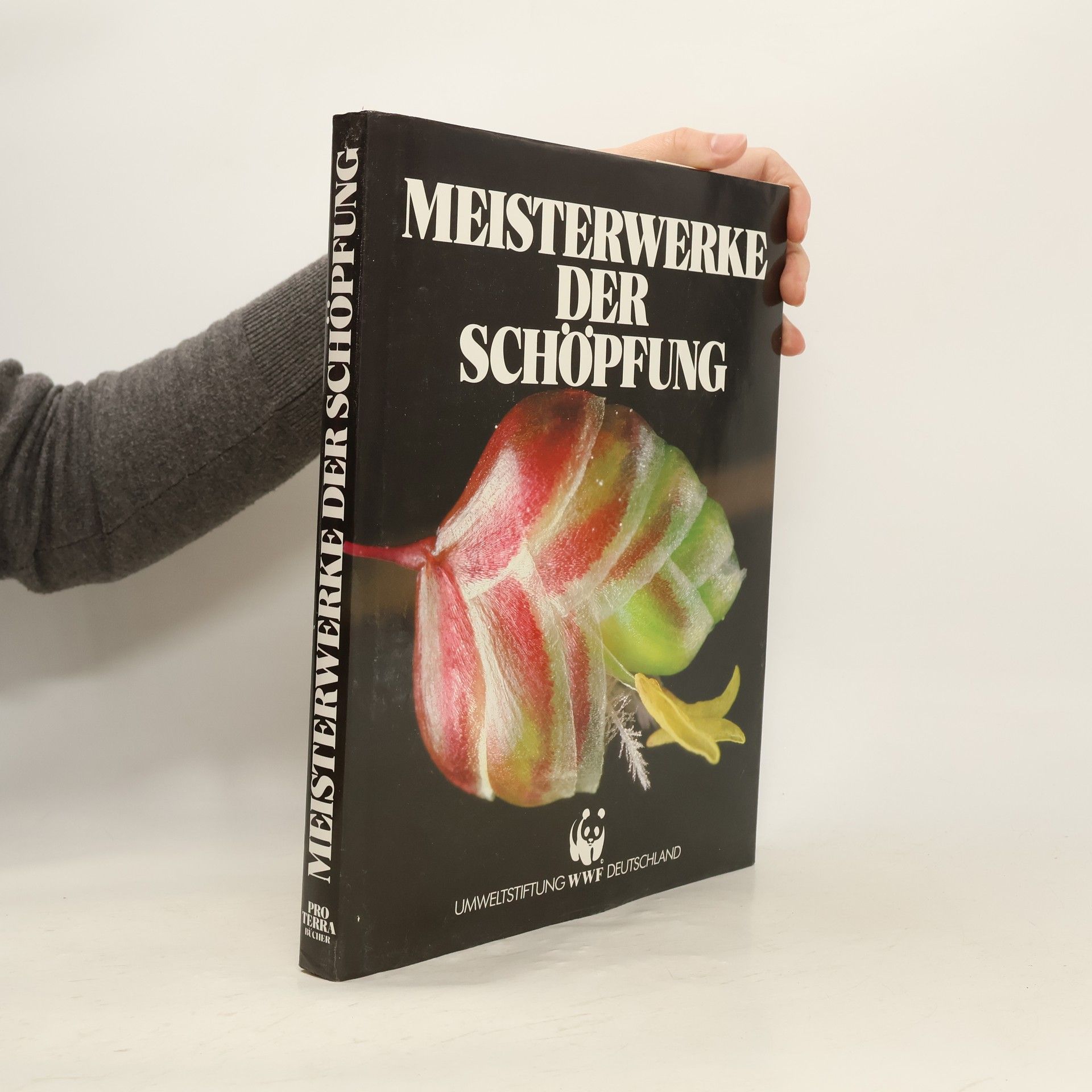 Autorenkollektiv Meisterwerke der Schöpfung