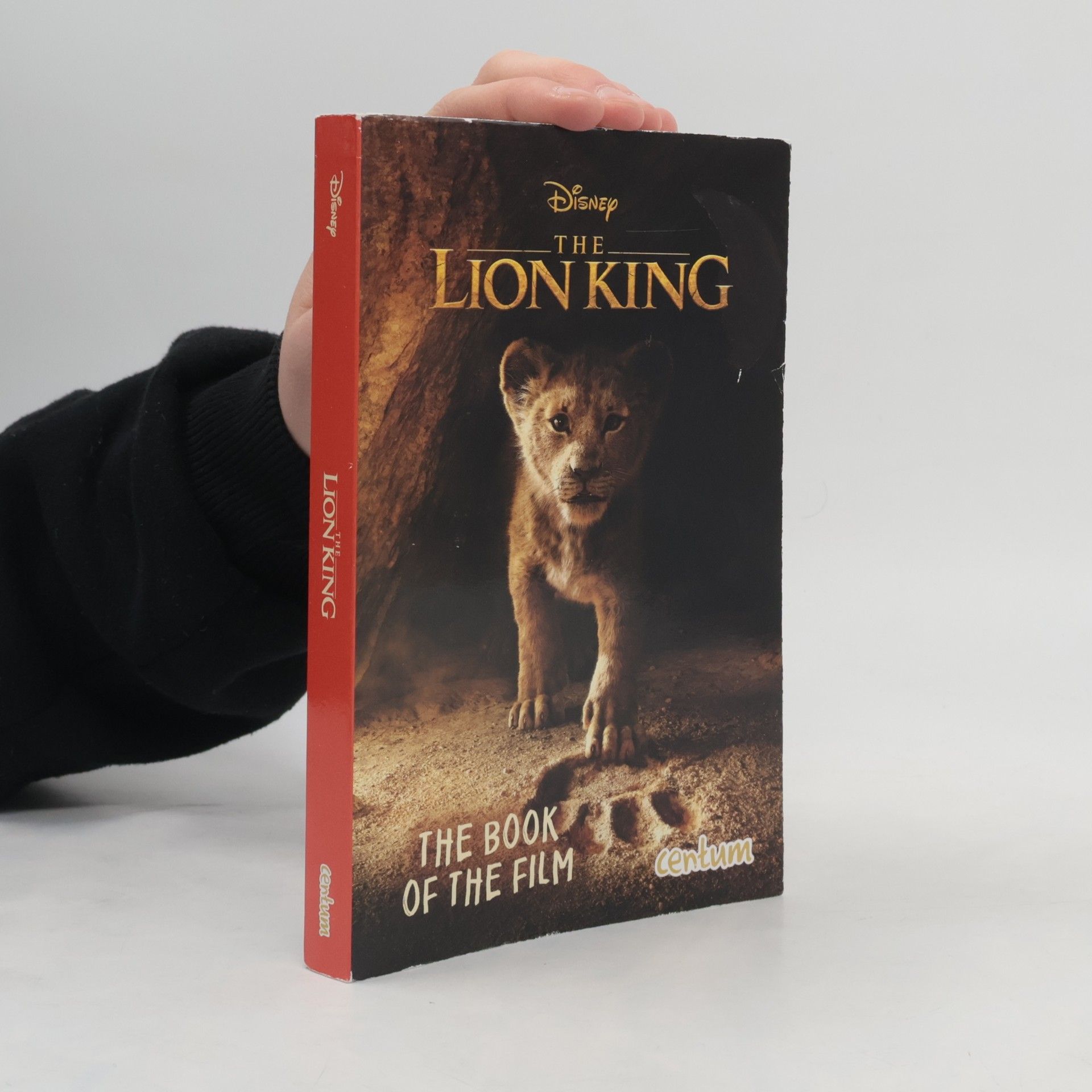 Elizabeth Rudnick The Lion King