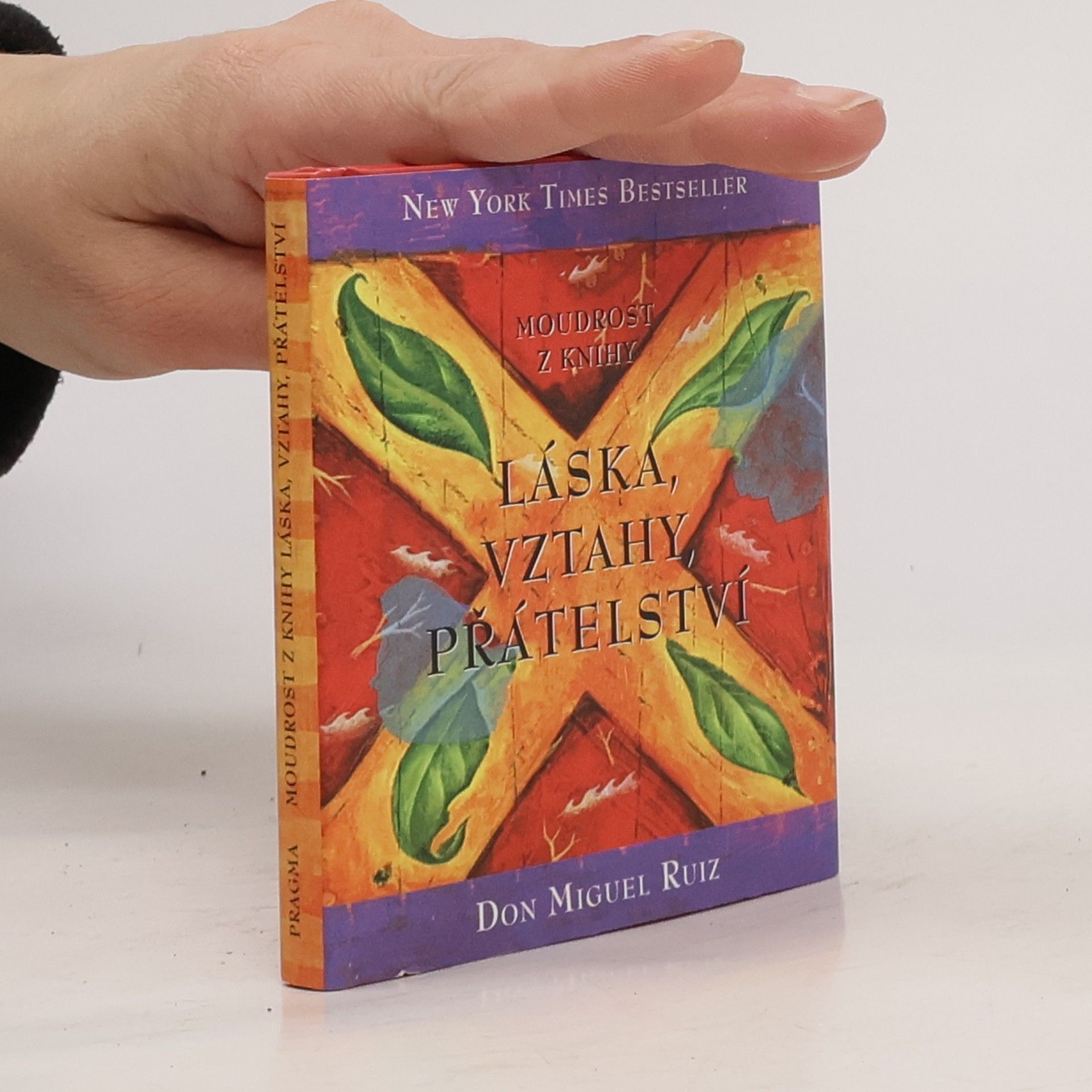 Don Miguel Ruiz Moudrost z knihy Láska, vztahy, přátelství