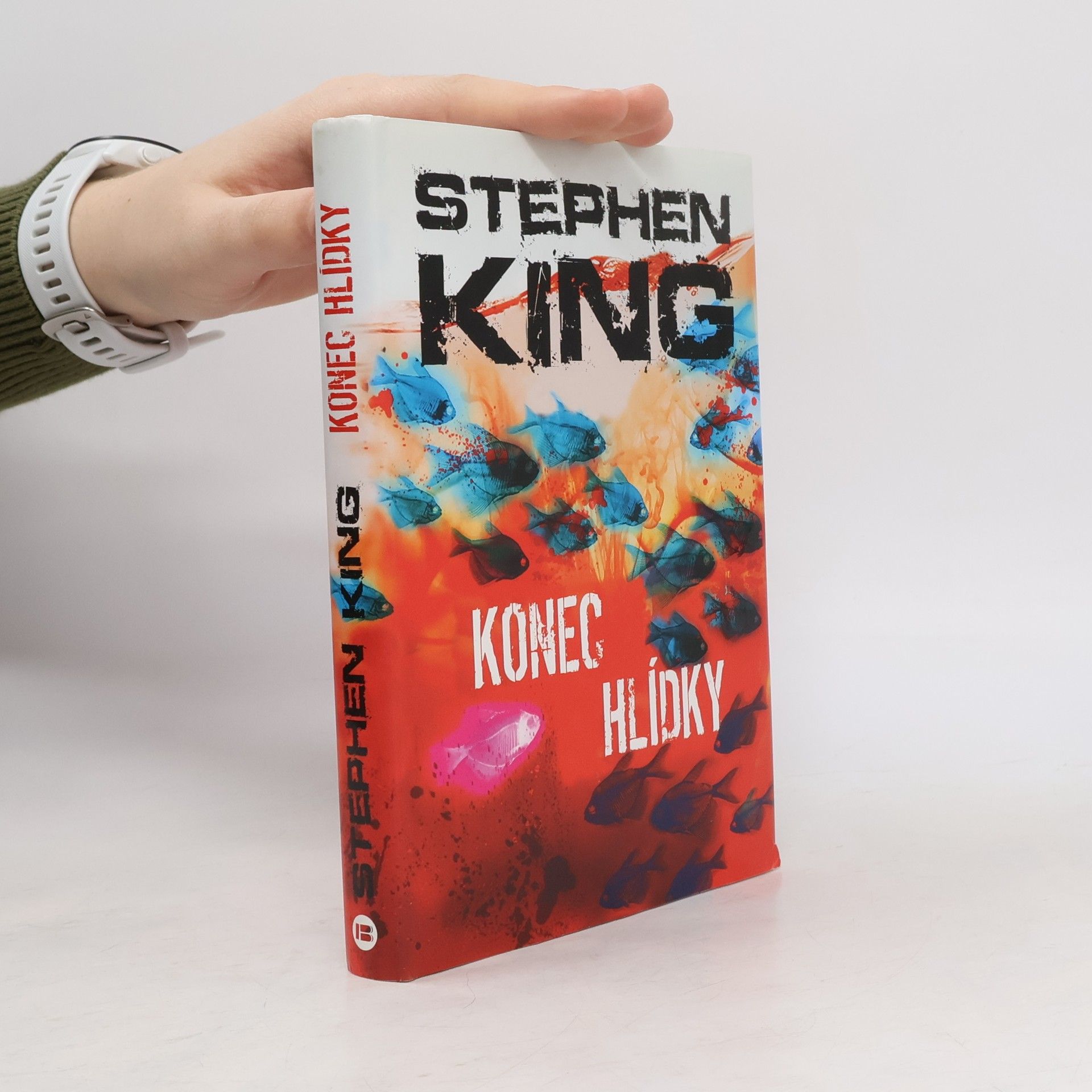 Stephen King Konec hlídky