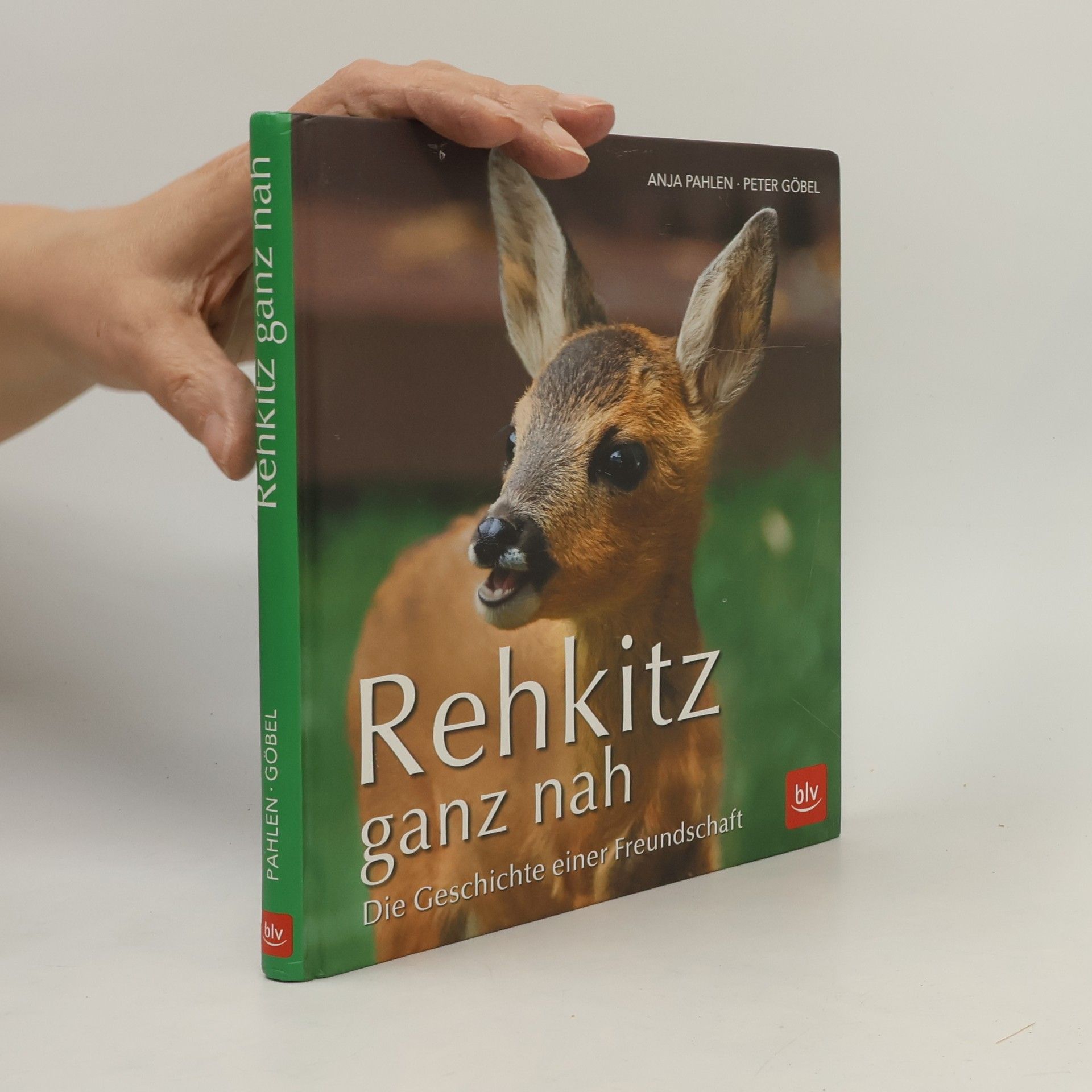 Anja Pahlen Rehkitz ganz nah