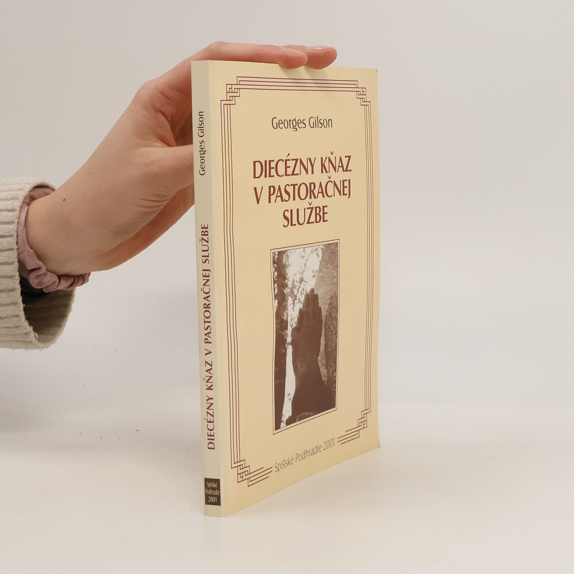 Georges Gilson Diecézny kňaz v pastoračnej službe