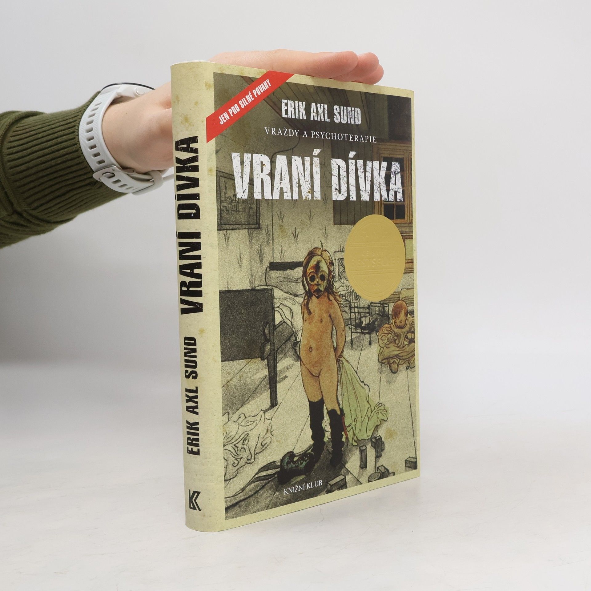 Erik Axl Sund Slabost Victorie Bergmanové. 1. díl. Vraní dívka