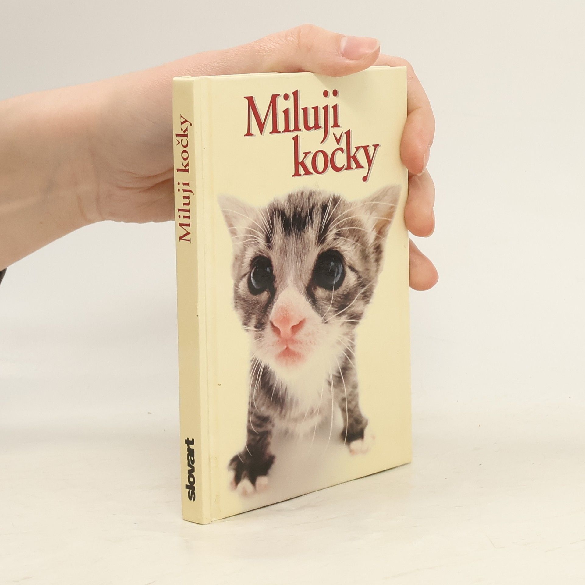 Yoneo Morita Miluji kočky