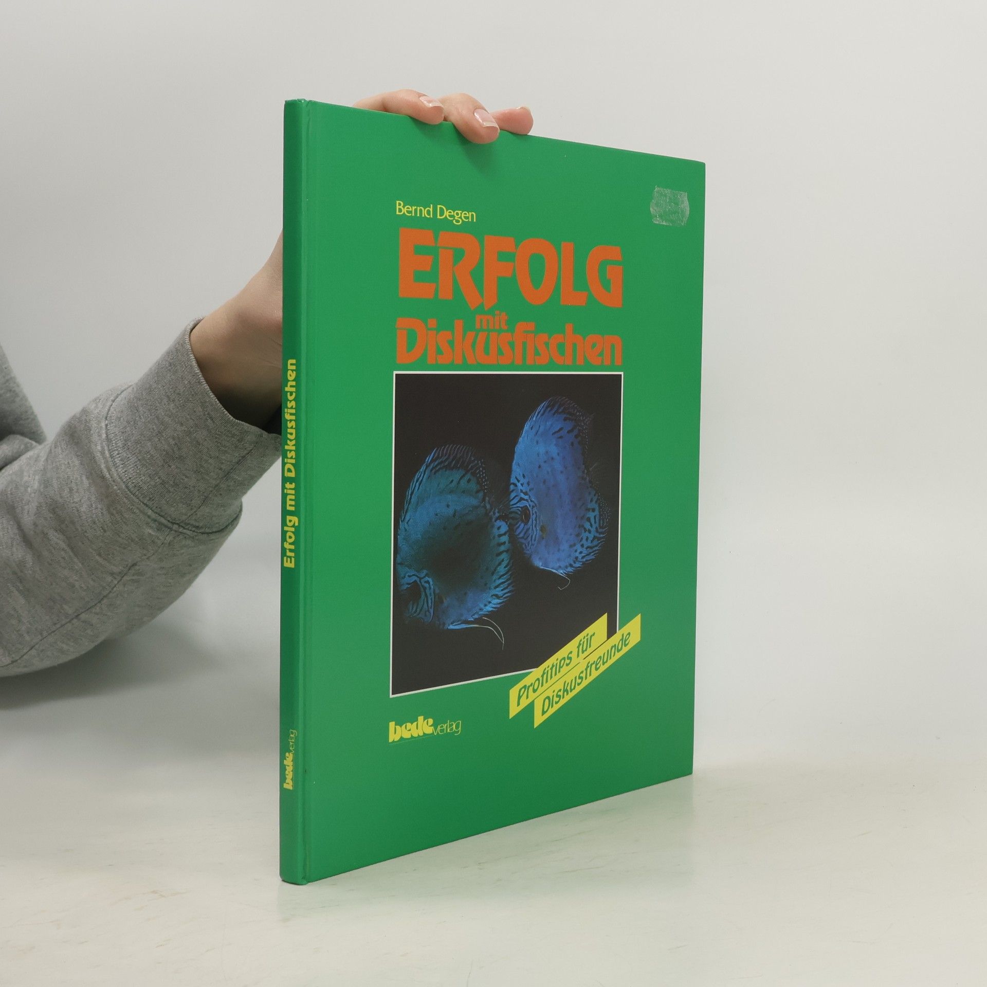 Sylvia Lott Die Inselfrauen