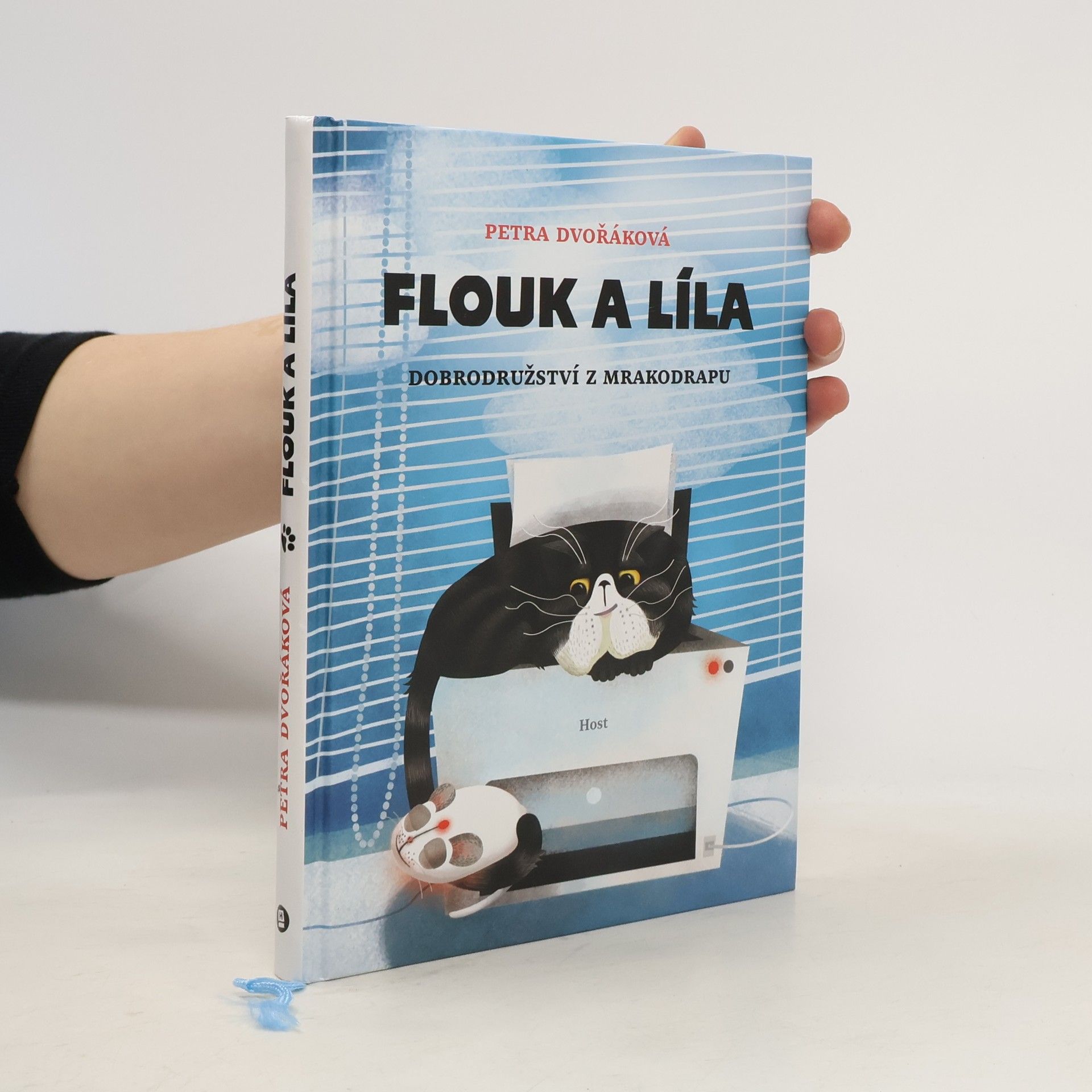 Petra Dvořáková Flouk a Líla: Dobrodružství z mrakodrapu