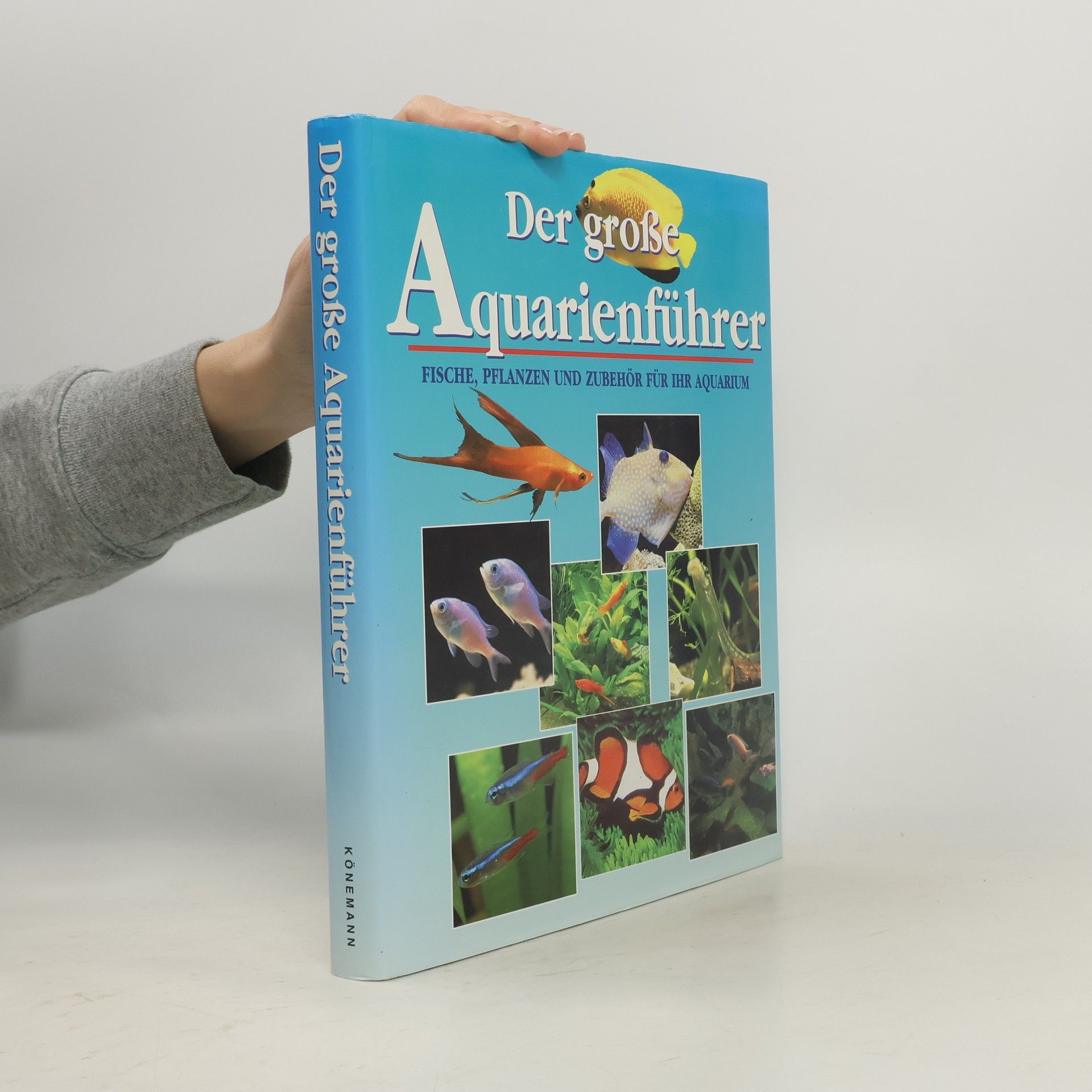 Autorenkollektiv Der große: Aquarienführer : Fische, Pflanzel und Zubehör für ihr aquarium