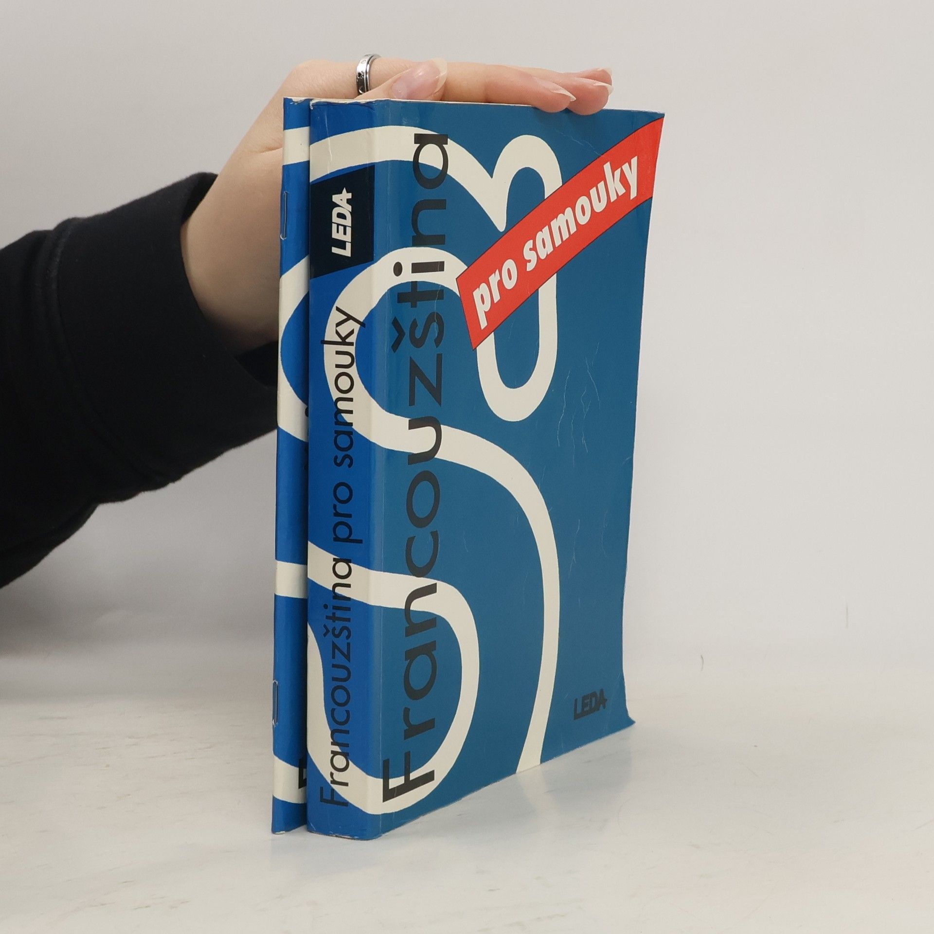 Miroslav Pravda Francouzština pro samouky. Učebnice + Klíč, slovník