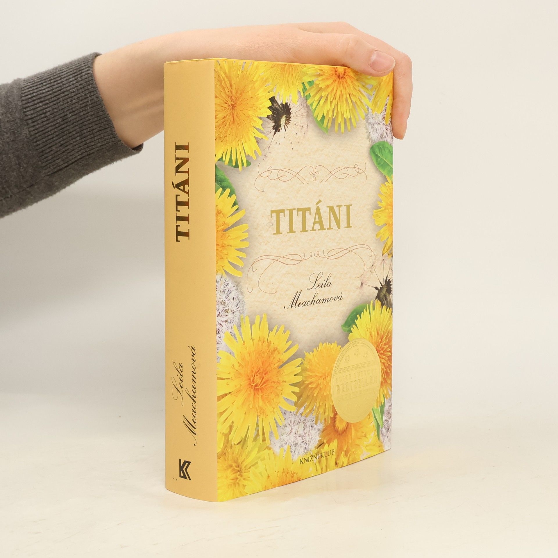 Leila Meacham Titáni