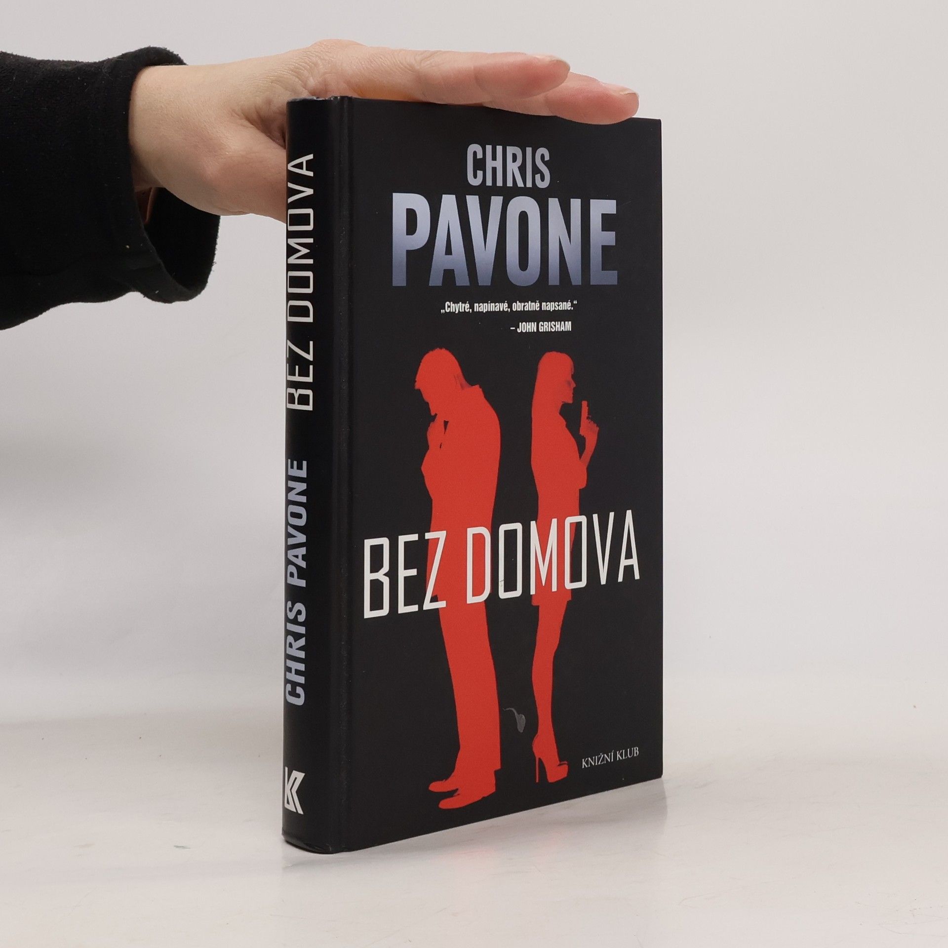 Chris Pavone Bez domova