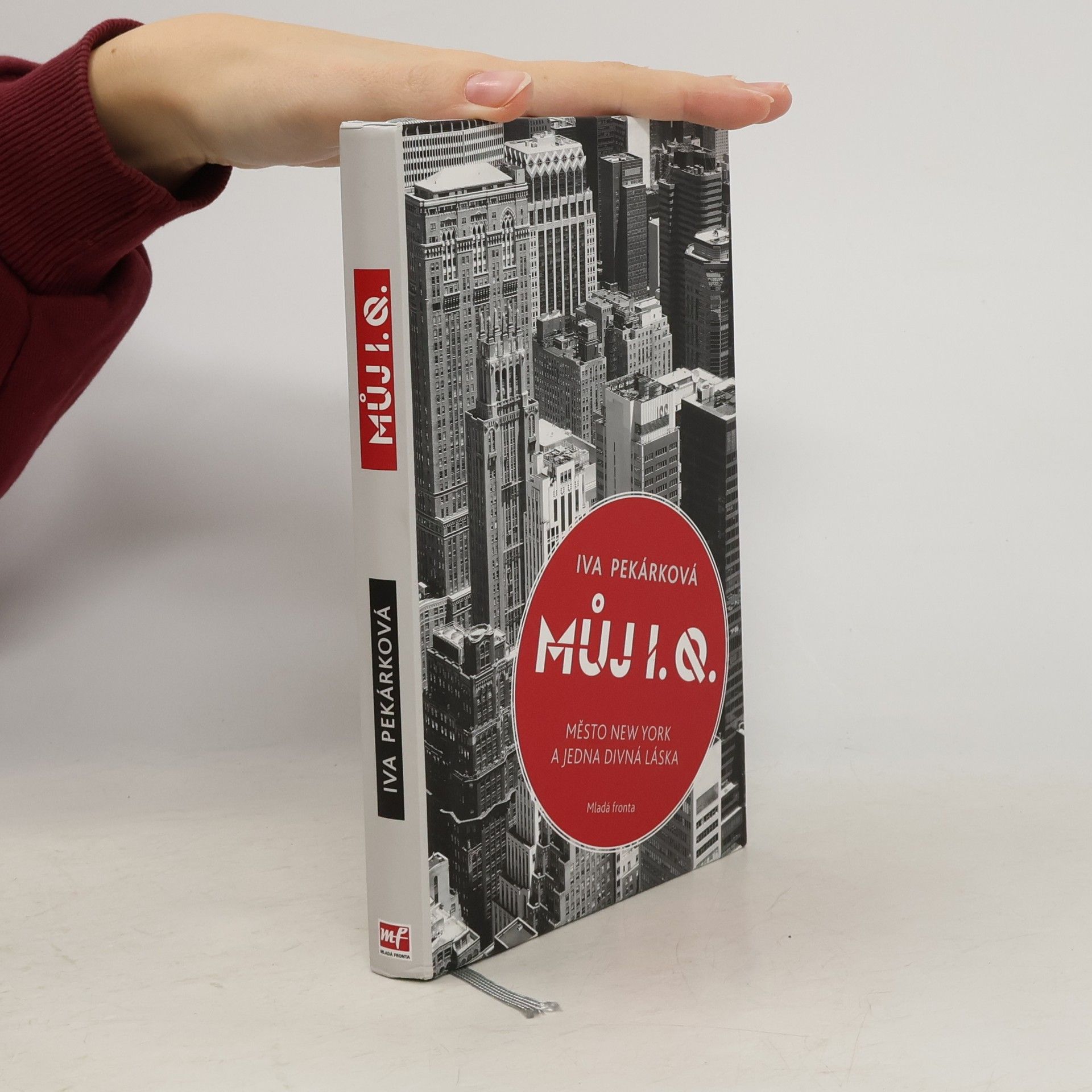 Můj I.Q. : město New York a jedna divná láska