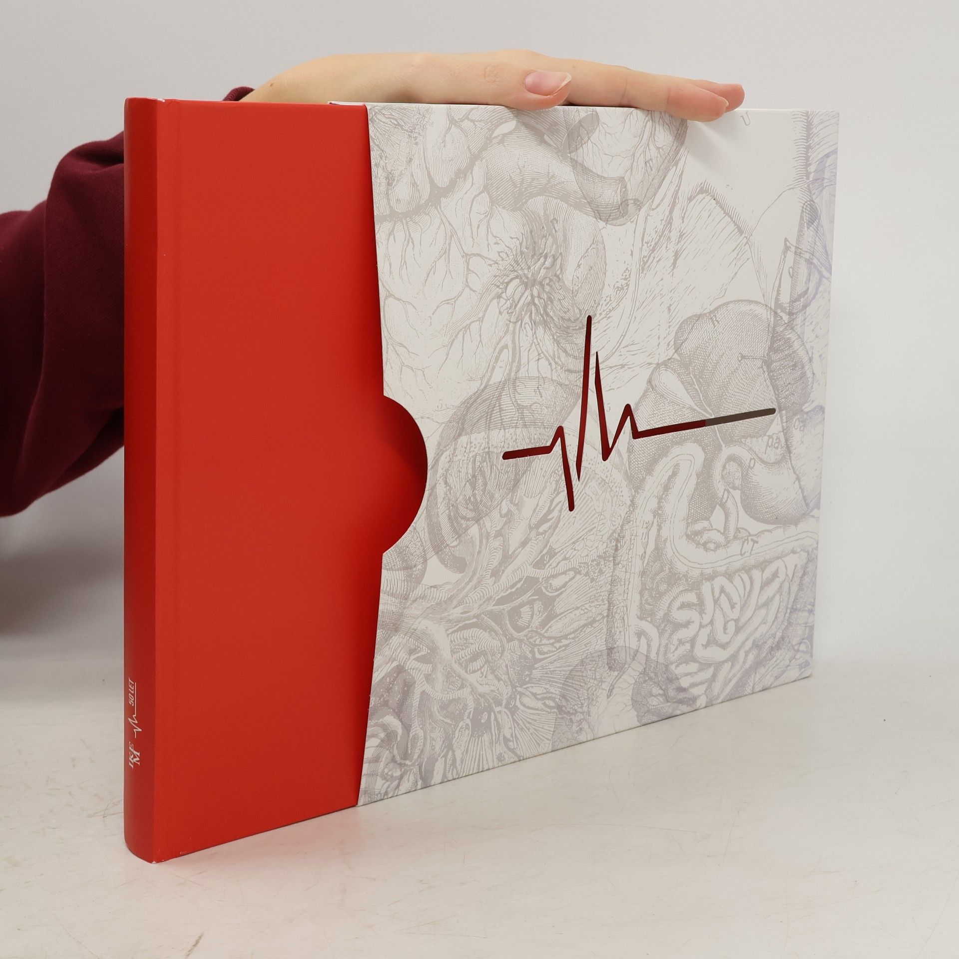 Kolektiv autorů IK+EM