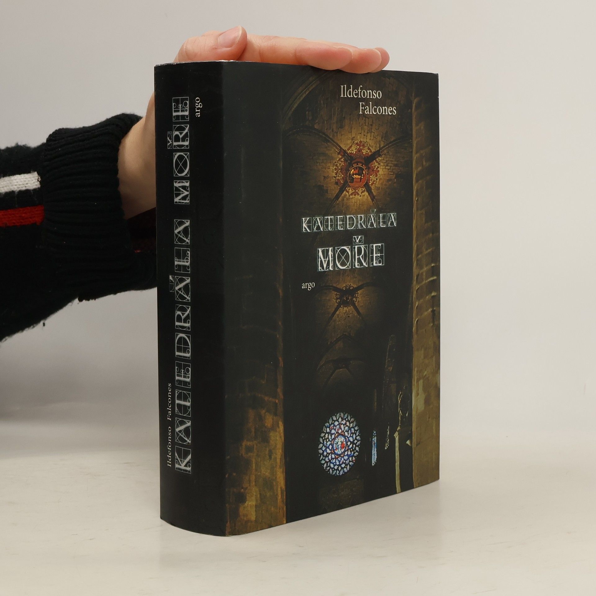 Ildefonso Falcones Katedrála moře