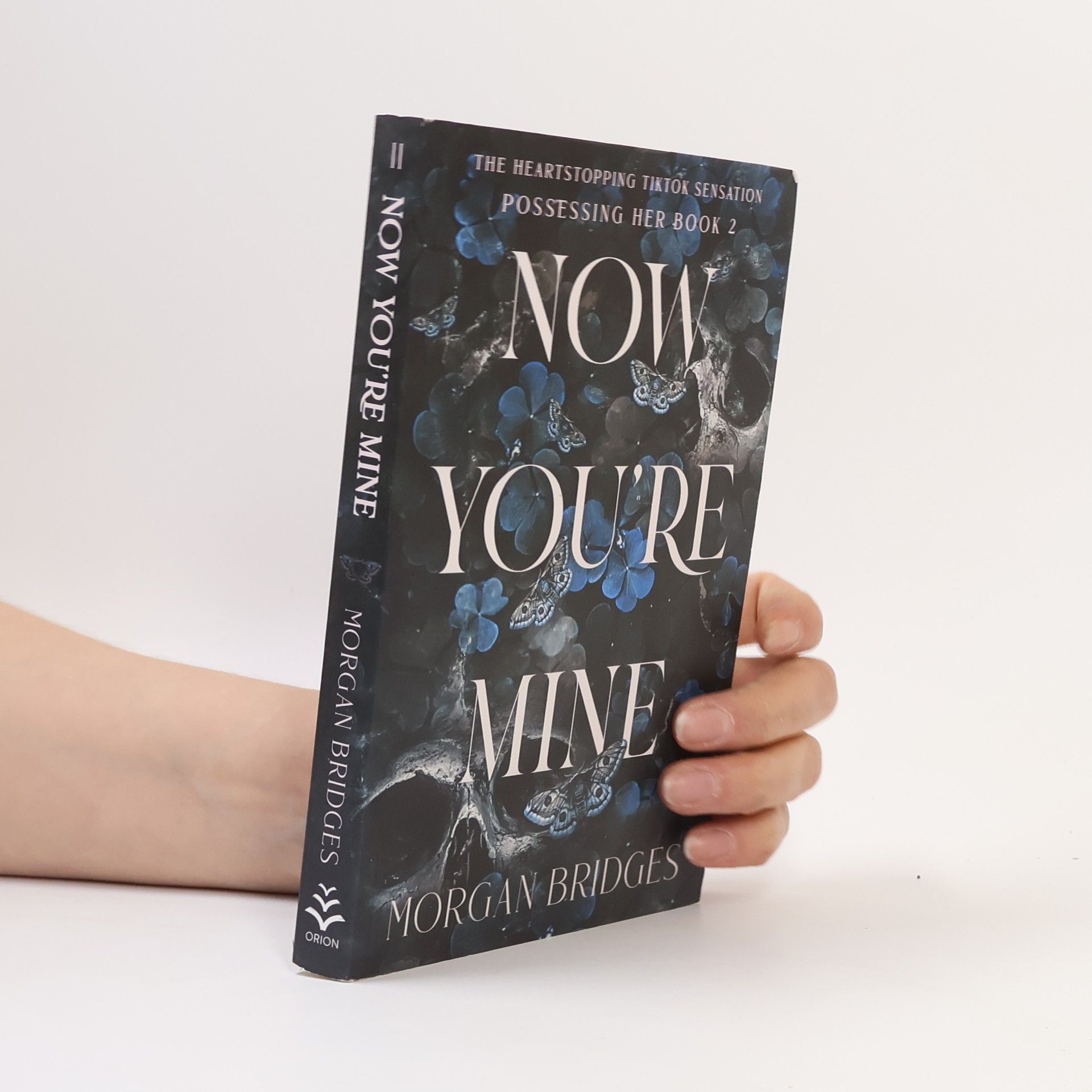 Morgan Bridges Now You're Mine