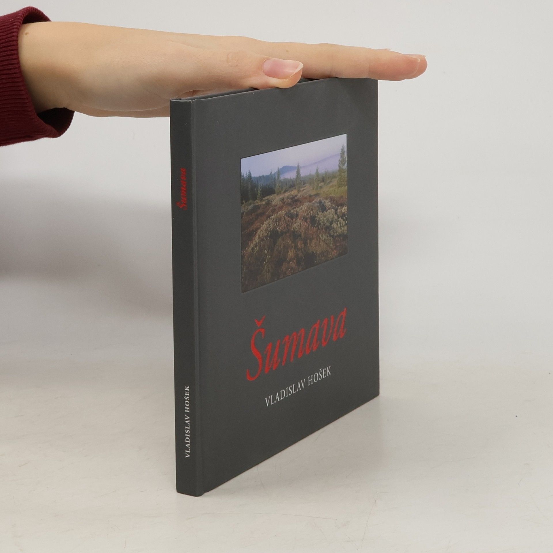 Vladislav Hošek Šumava