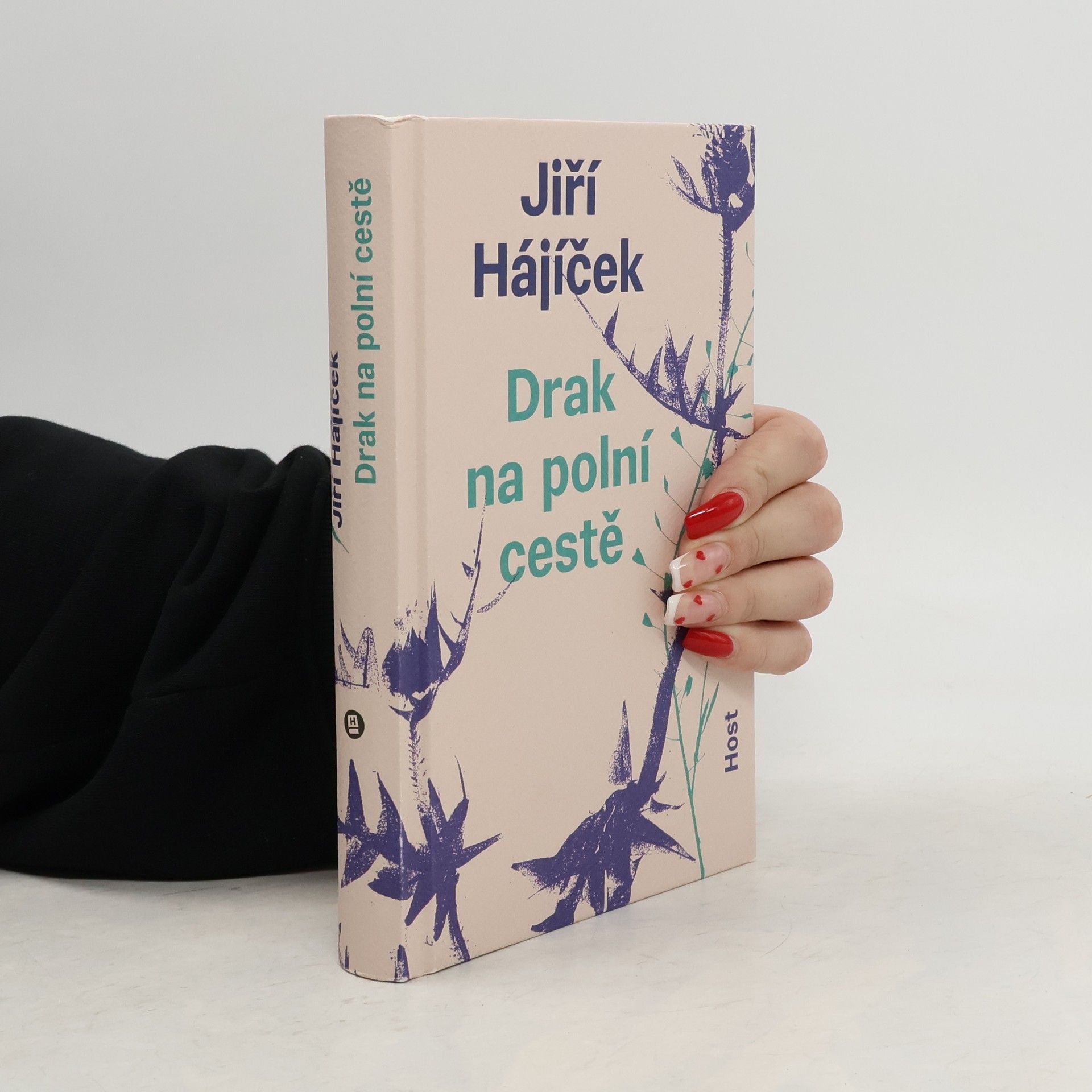 Jiří Hájíček Drak na polní cestě