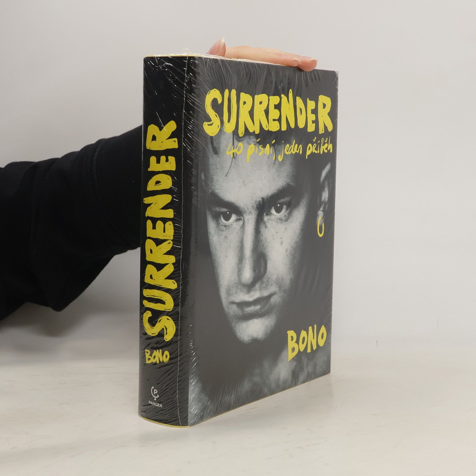 Bono Surrender : 40 písní, jeden příběh