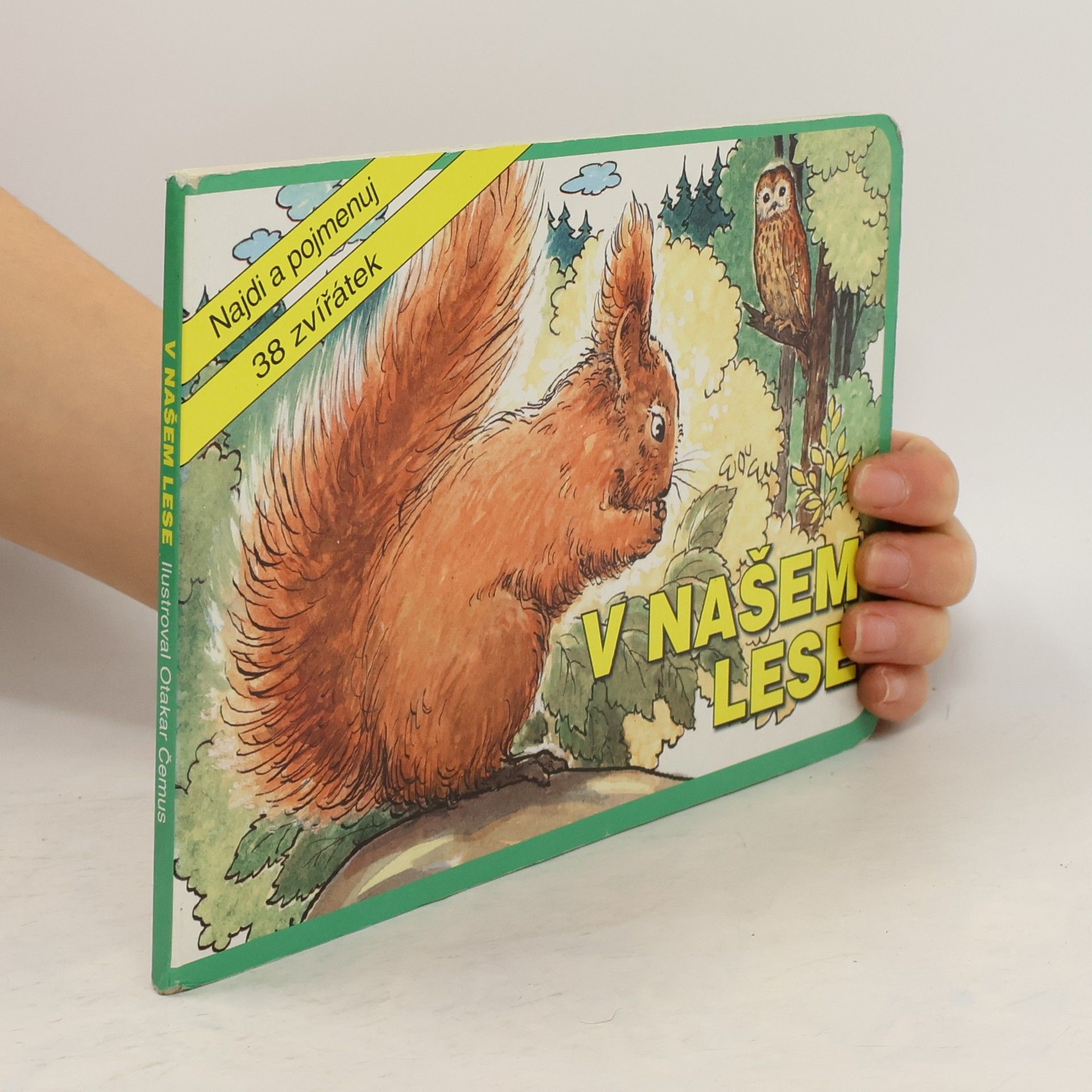 V našem lese : najdi a pojmenuj 38 zvířátek