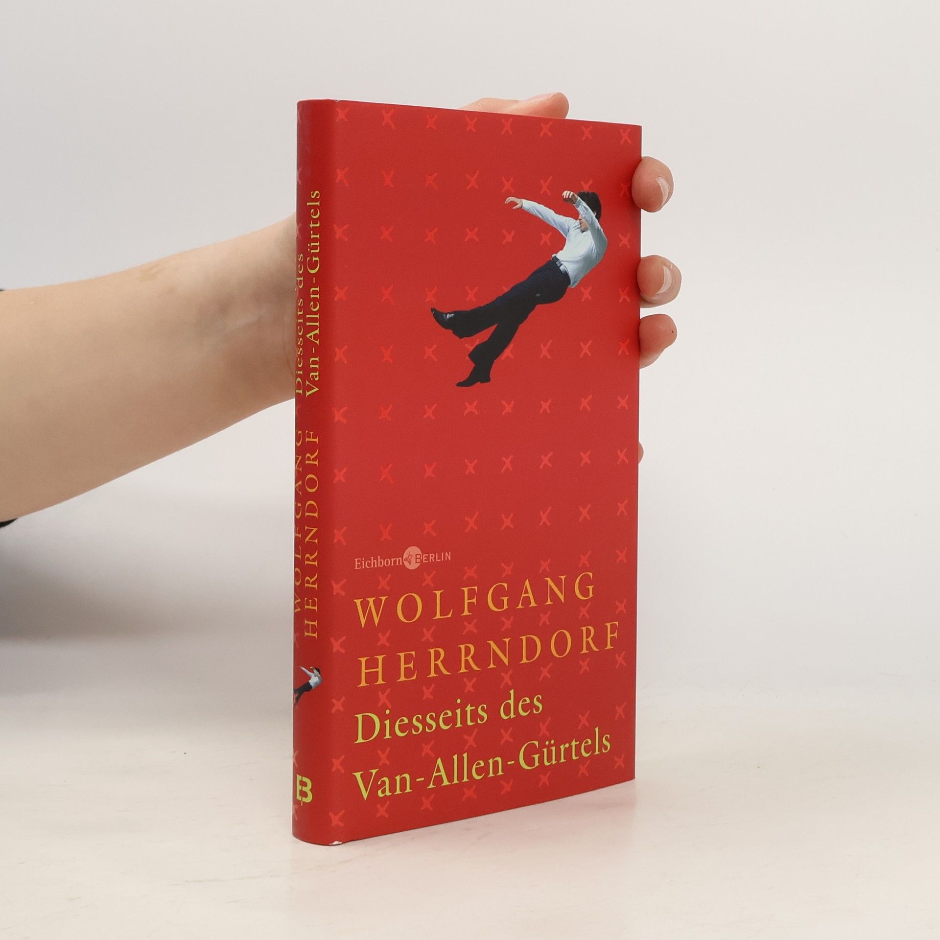 Wolfgang Herrndorf Diesseits des Van-Allen-Gürtels