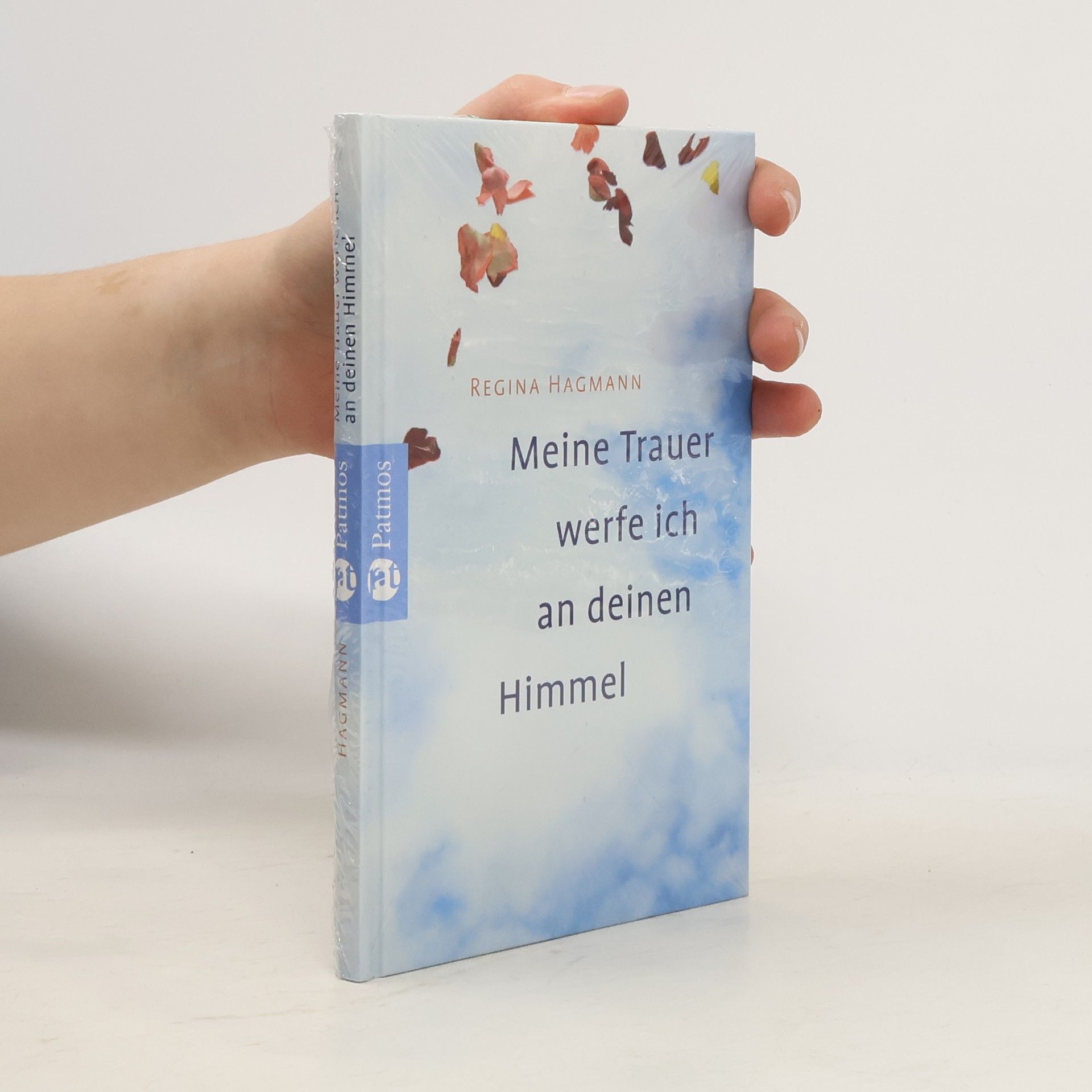 Regina Hagmann Meine Trauer werfe ich an deinen Himmel