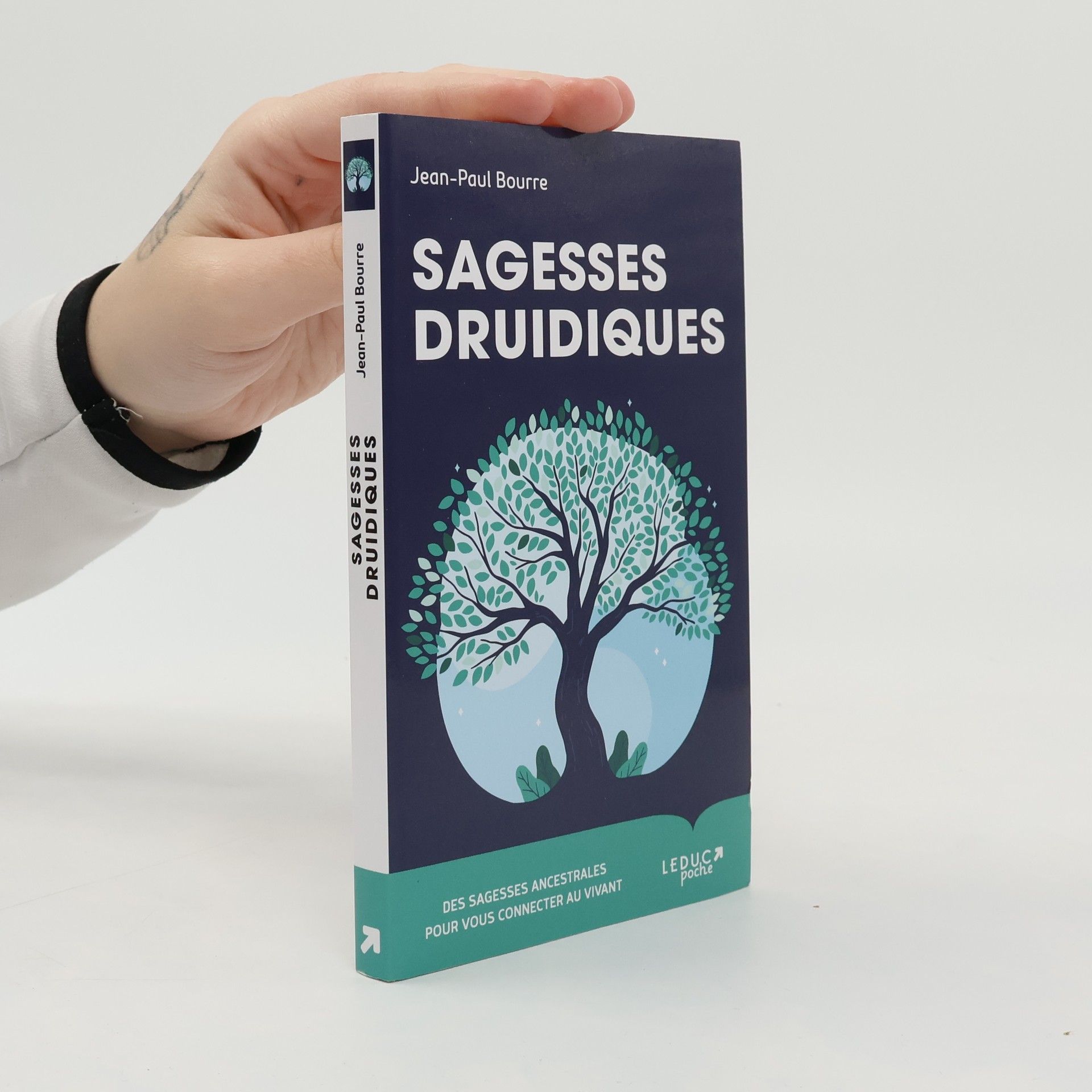 Jean Paul Bourre Sagesses druidiques