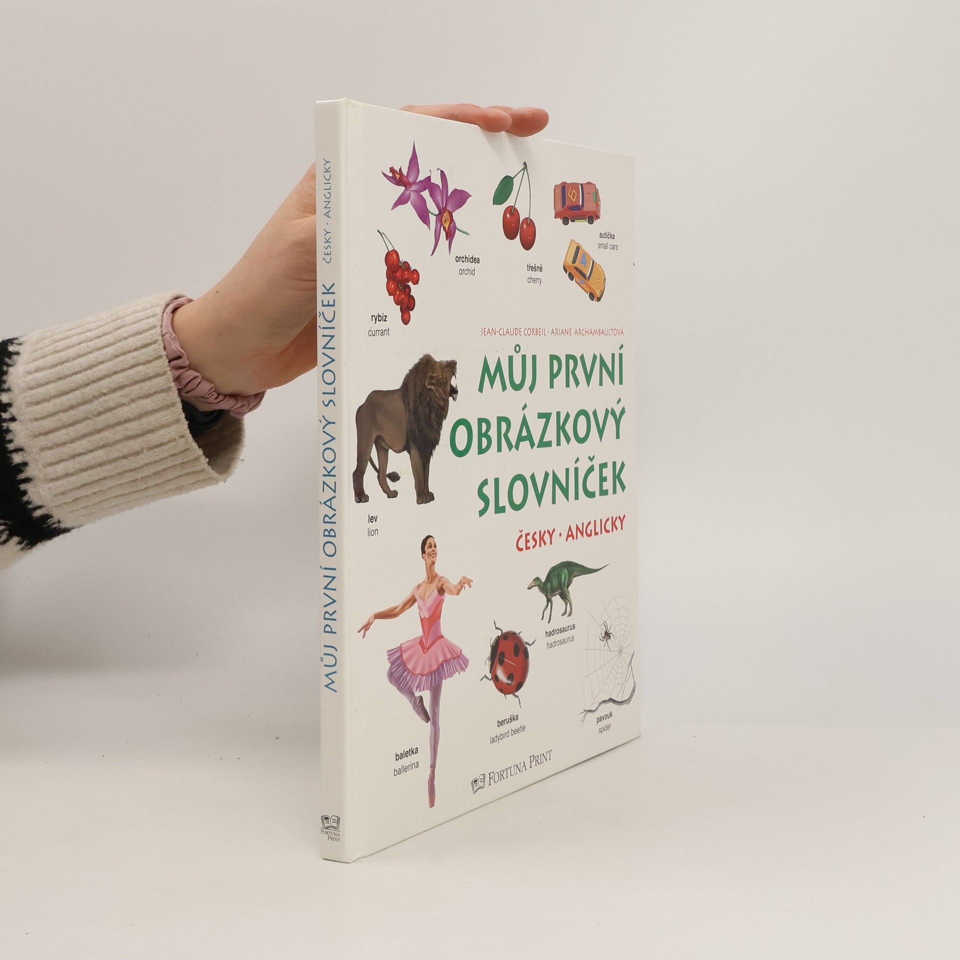 Kolektiv autorů Můj první obrázkový slovníček