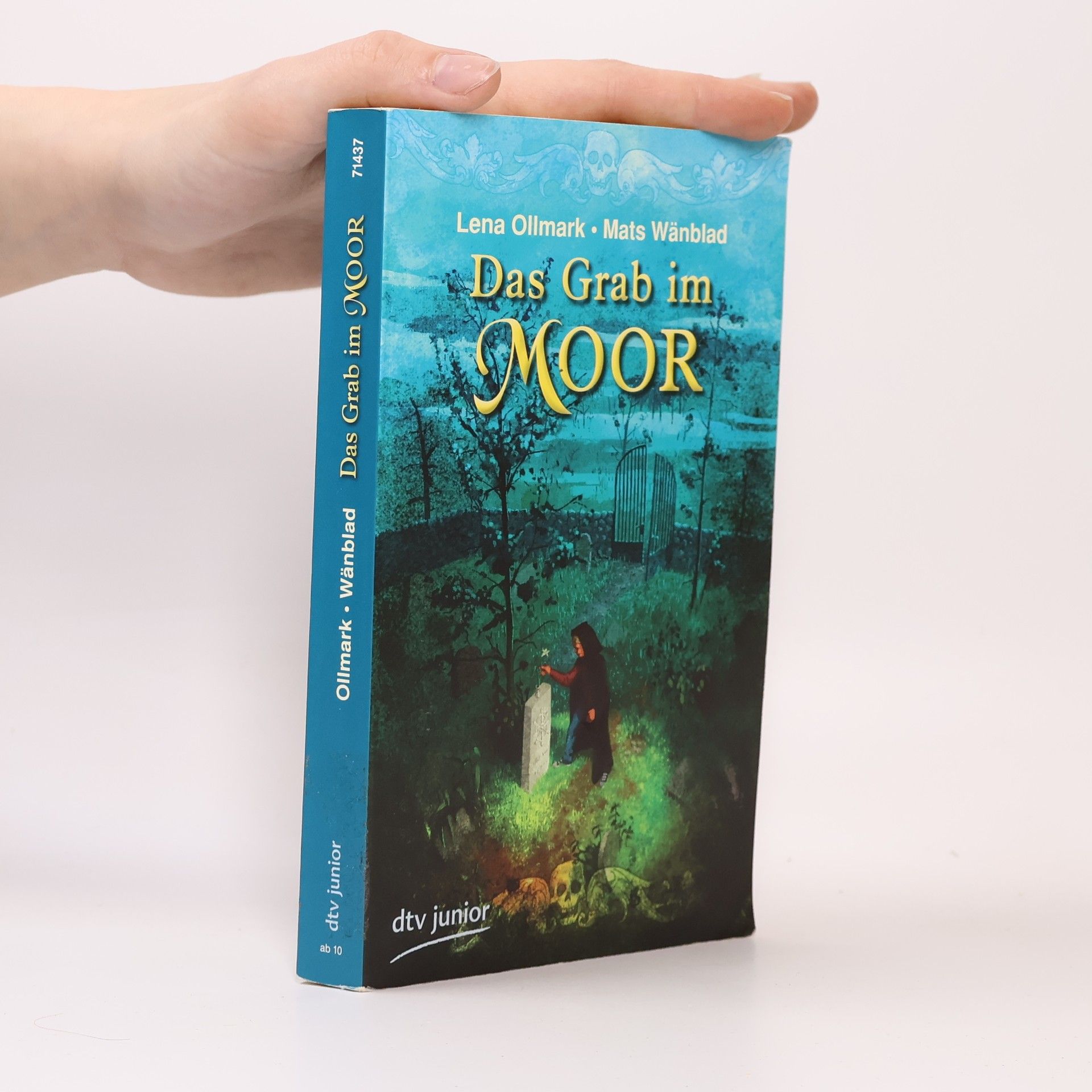 Lena Ollmark Das Grab im Moor