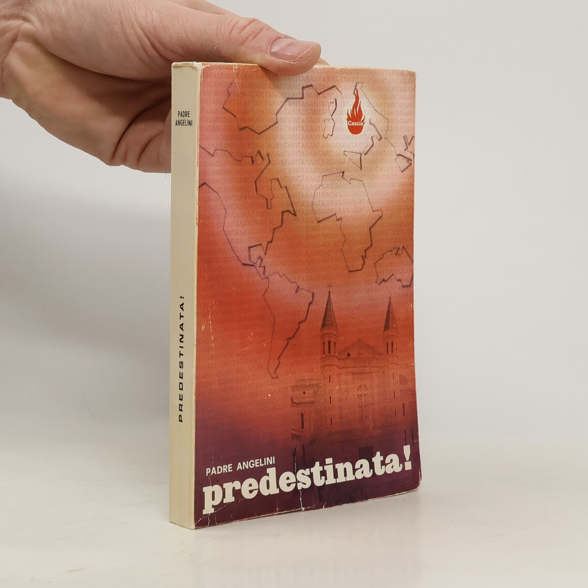 Padre Angelini Predestinata!