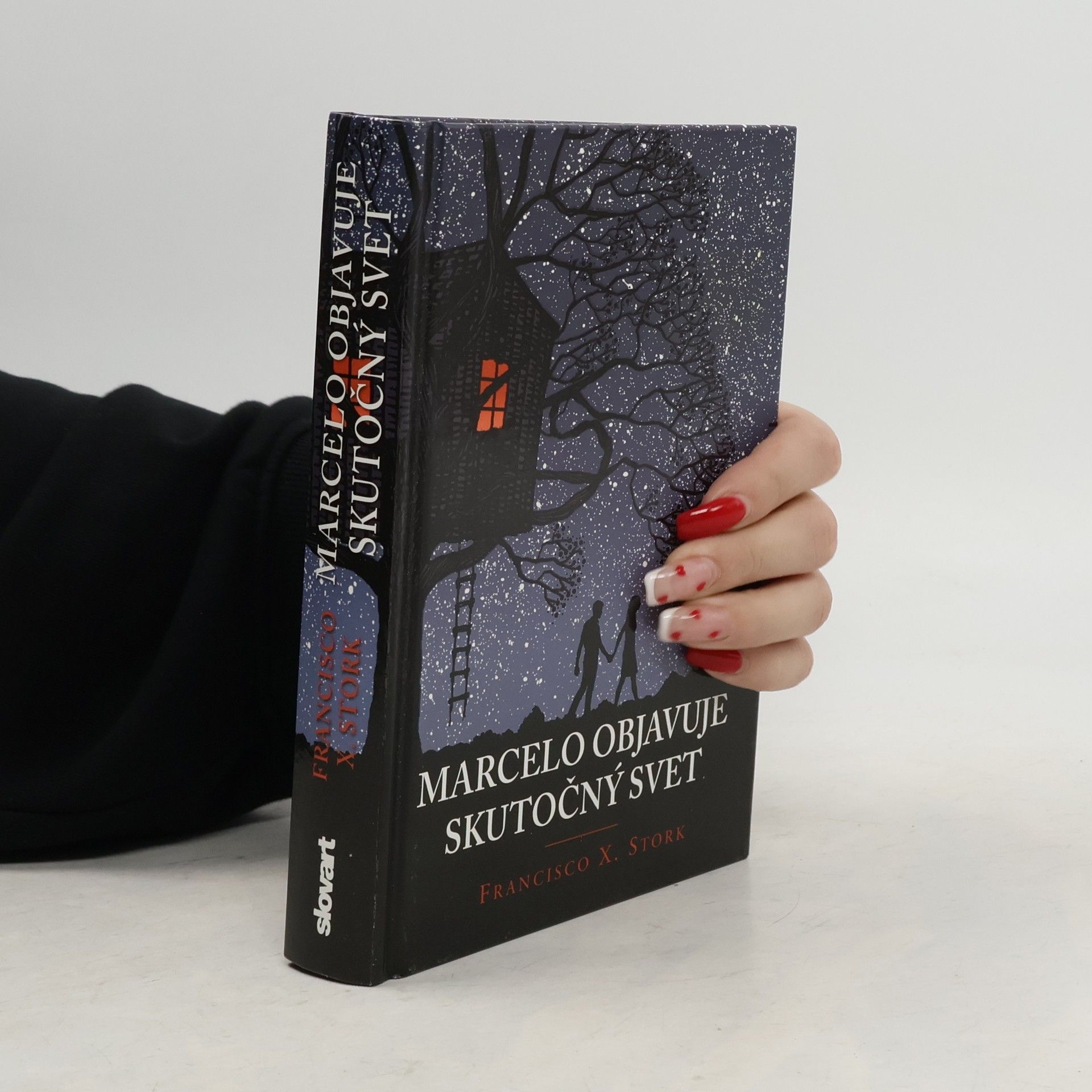 Francisco X. Stork Marcelo objavuje skutočný svet