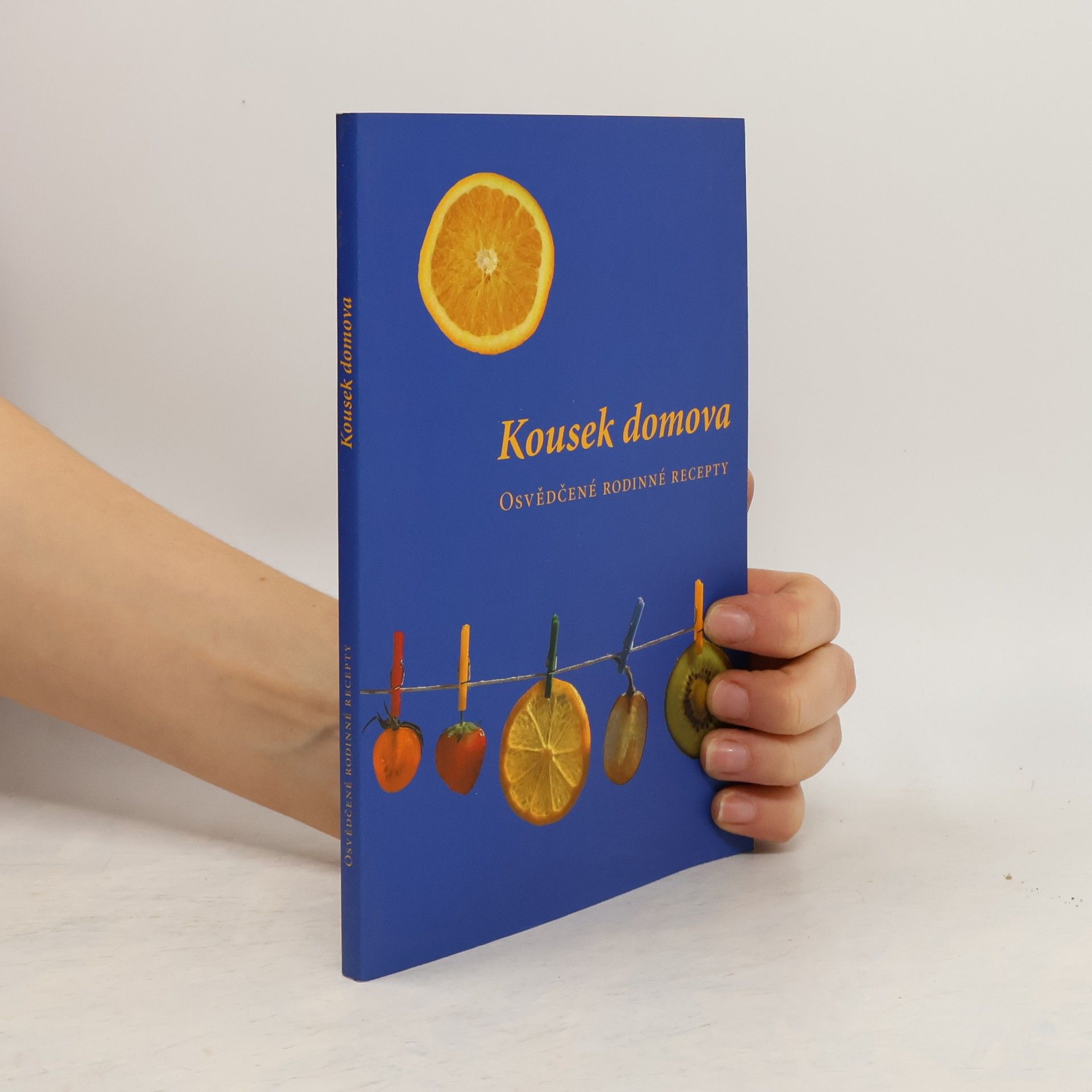 Ráchel Bícová Kousek domova