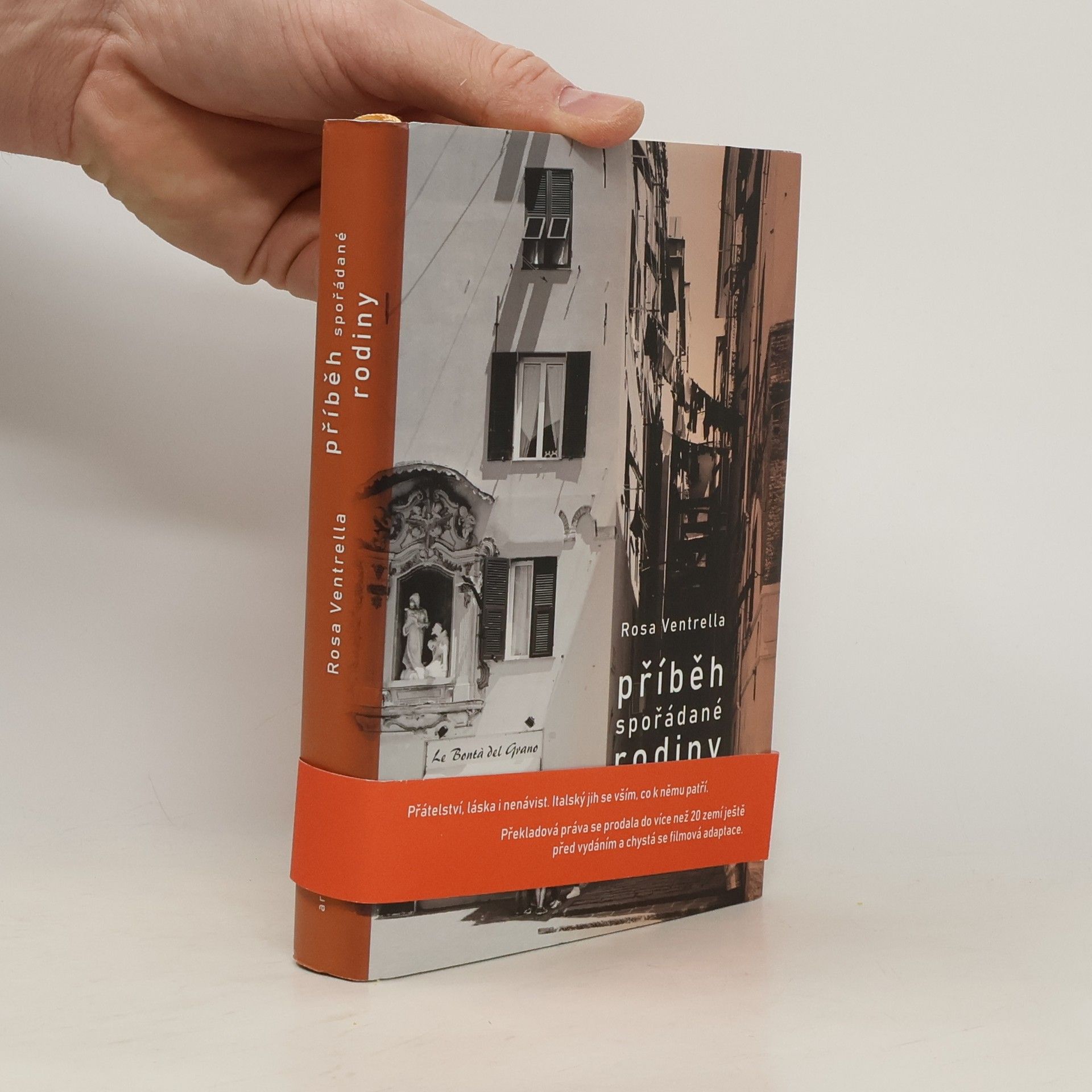 Rosa Ventrella Příběh spořádané rodiny