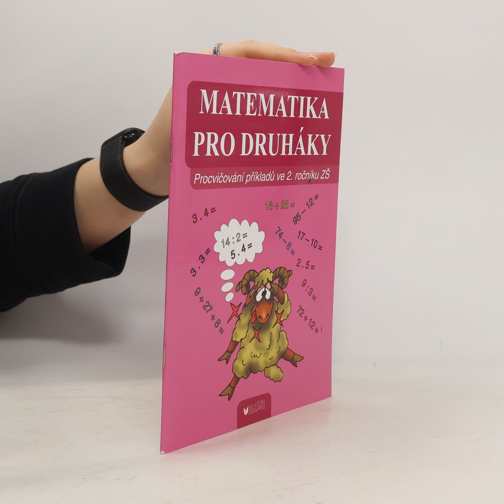 Collectif d'auteurs Matematika pro druháky. Procvičování příkladů ve 2. ročníku ZŠ