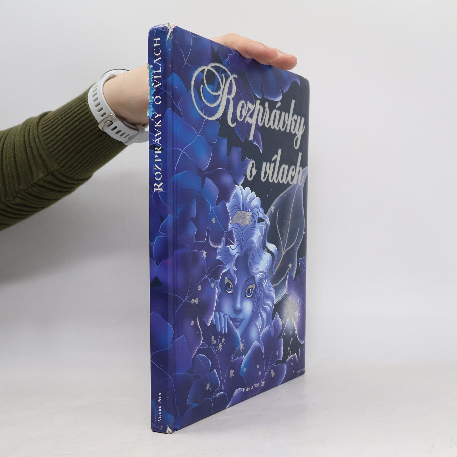 Autorenkollektiv Rozprávky o vílach