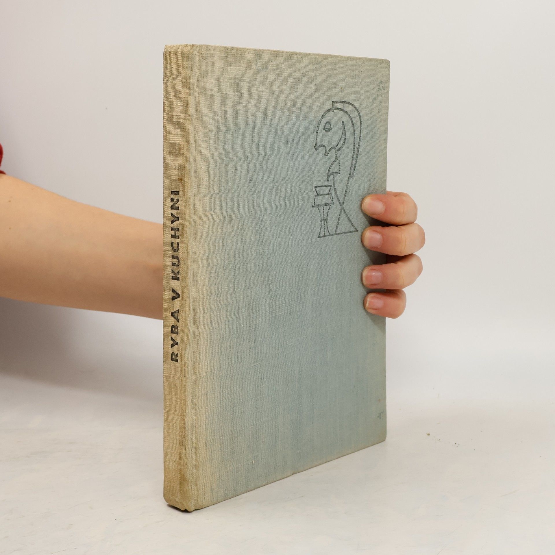 Milan Pohunek Ryba v kuchyni