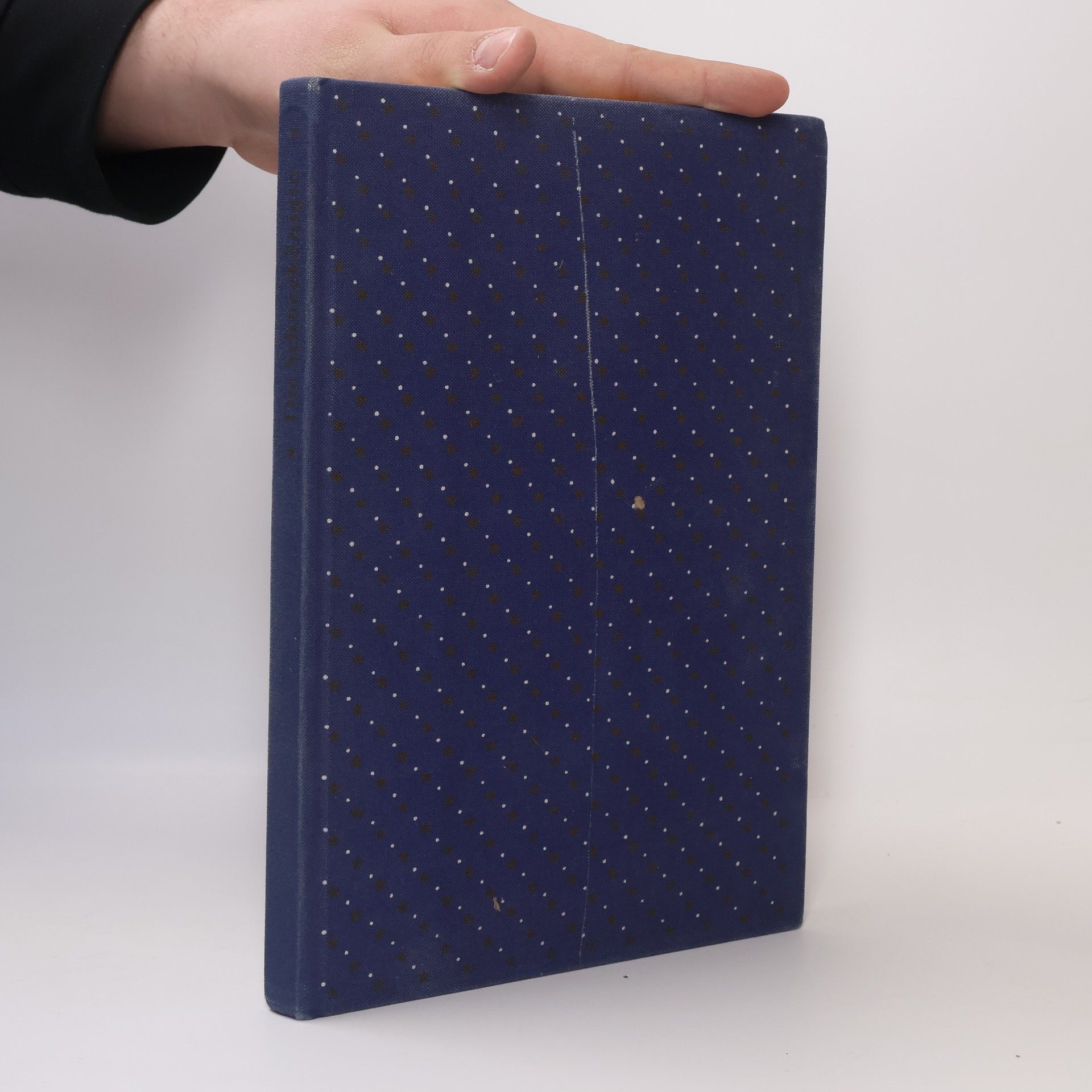 Hannelore Teutsch Die Schneekönigin