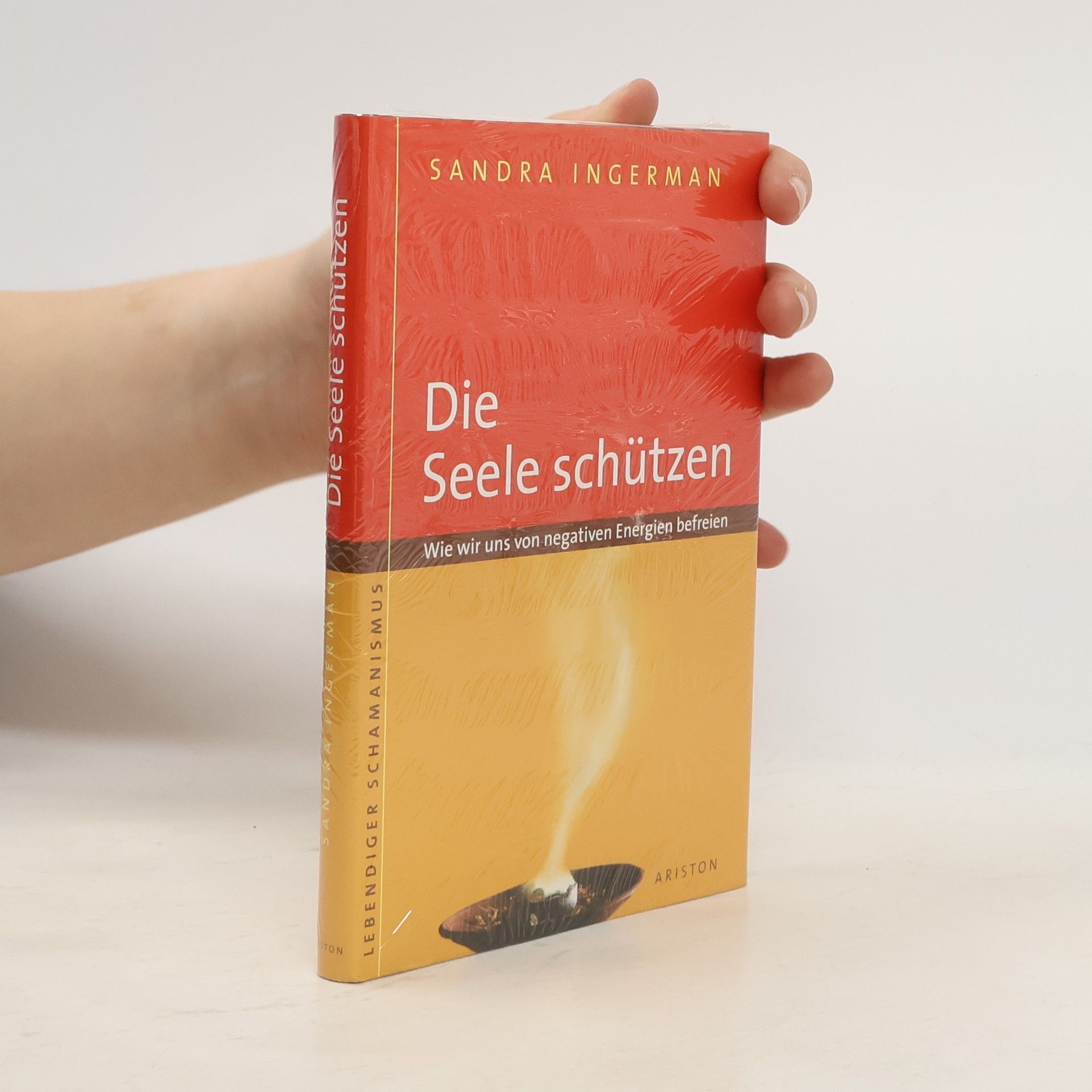 Sandra Ingerman Die Seele schützen