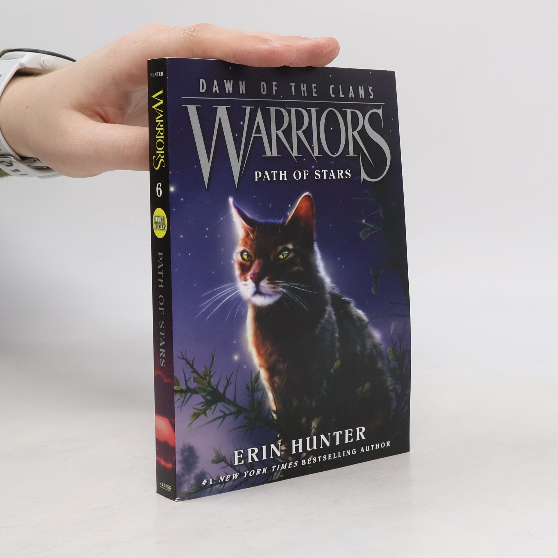 Erin Hunter Warriors: Dawn of the Clans #6: Path of Stars