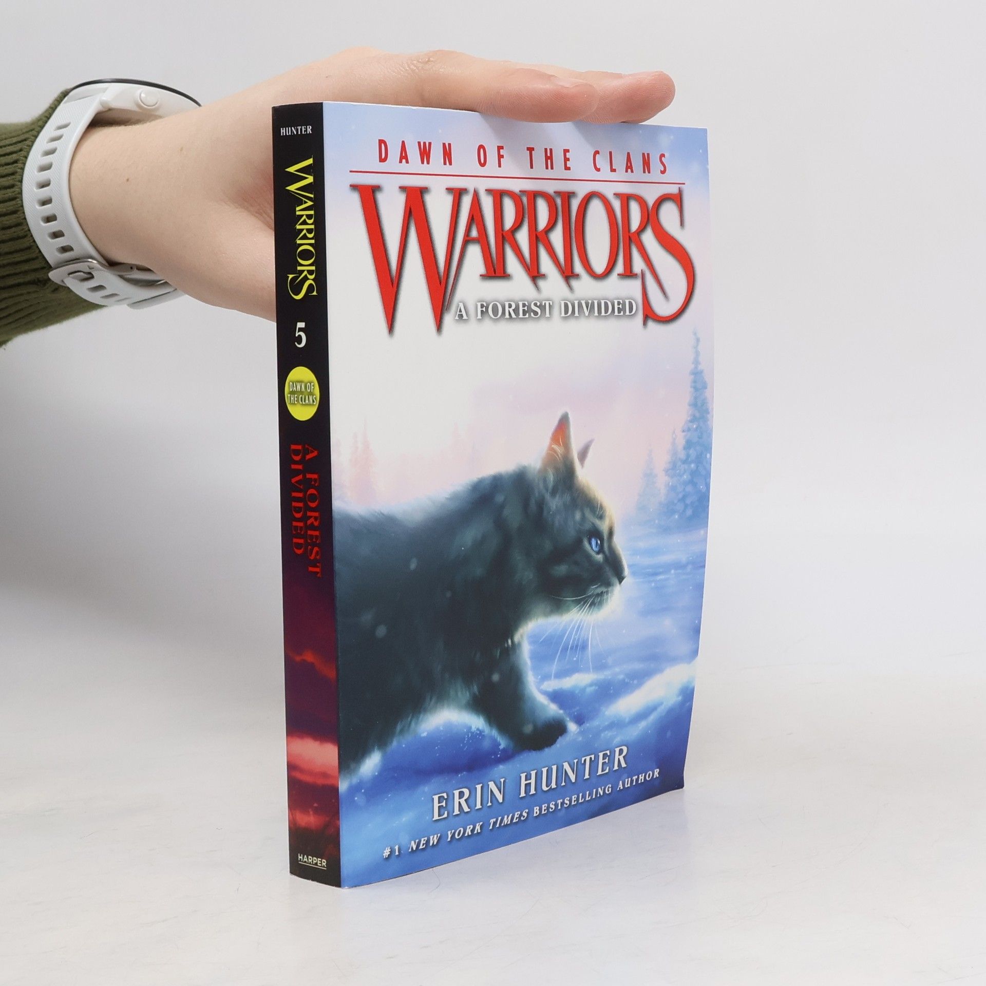 Erin Hunter Warriors: Dawn of the Clans 5: A Forest Divided