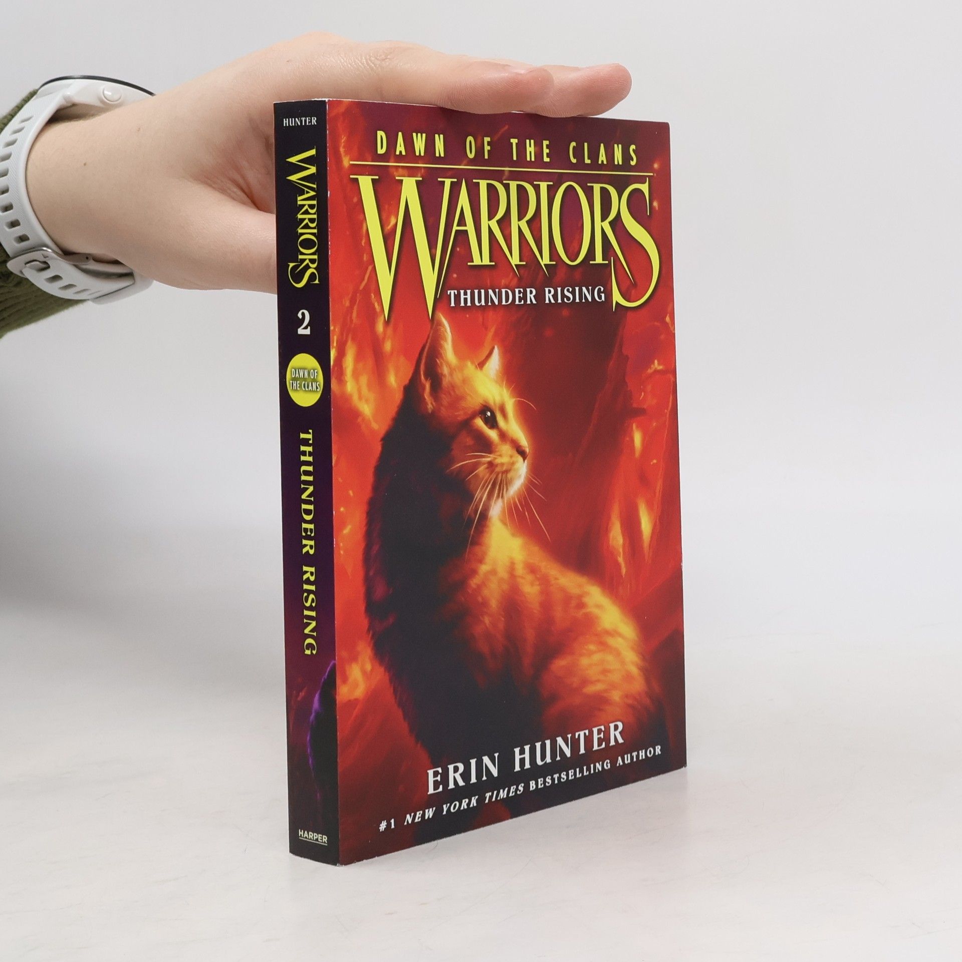 Erin Hunter Warriors: Dawn of the Clans #2: Thunder Rising