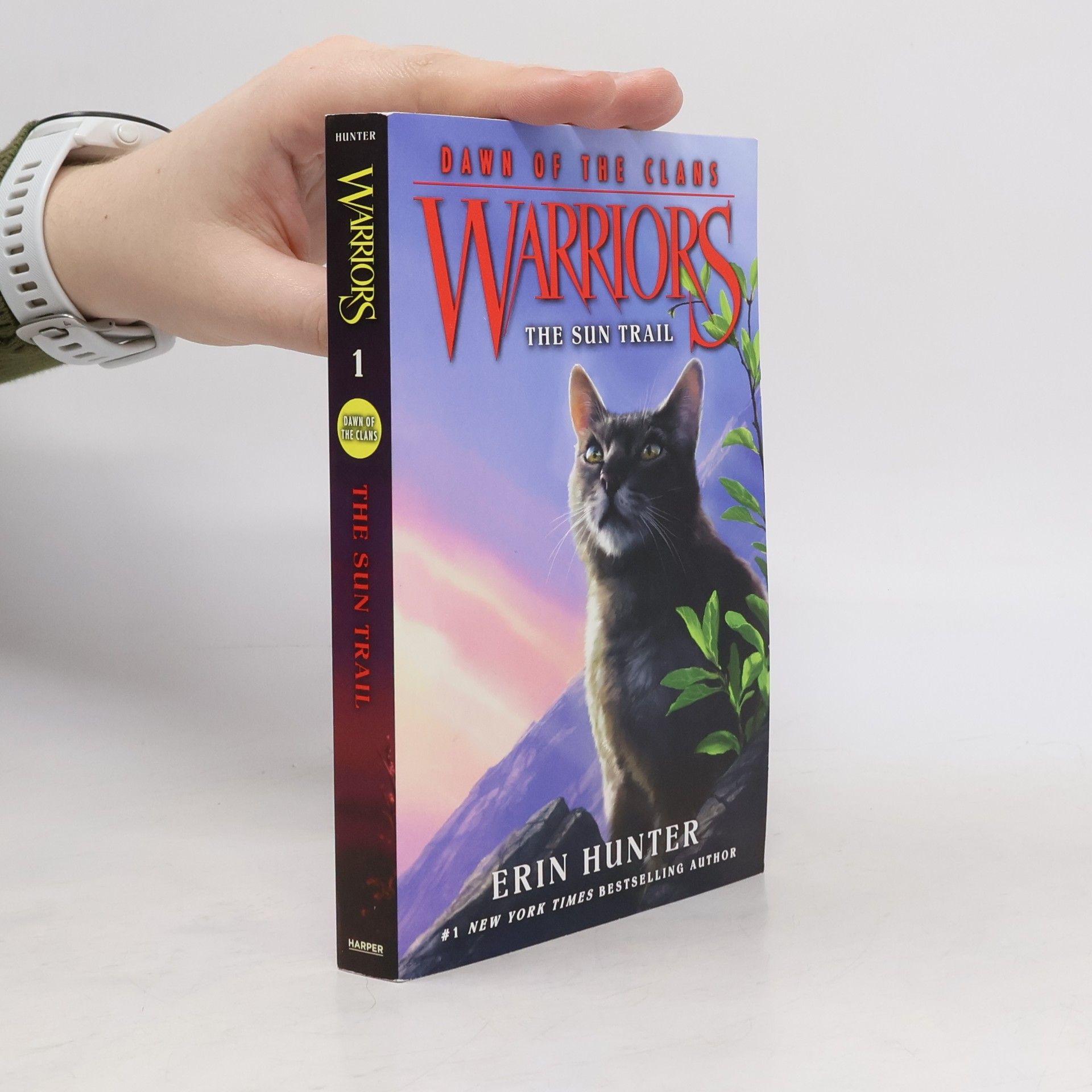 Erin Hunter Warriors: Dawn of the Clans #1: The Sun Trail