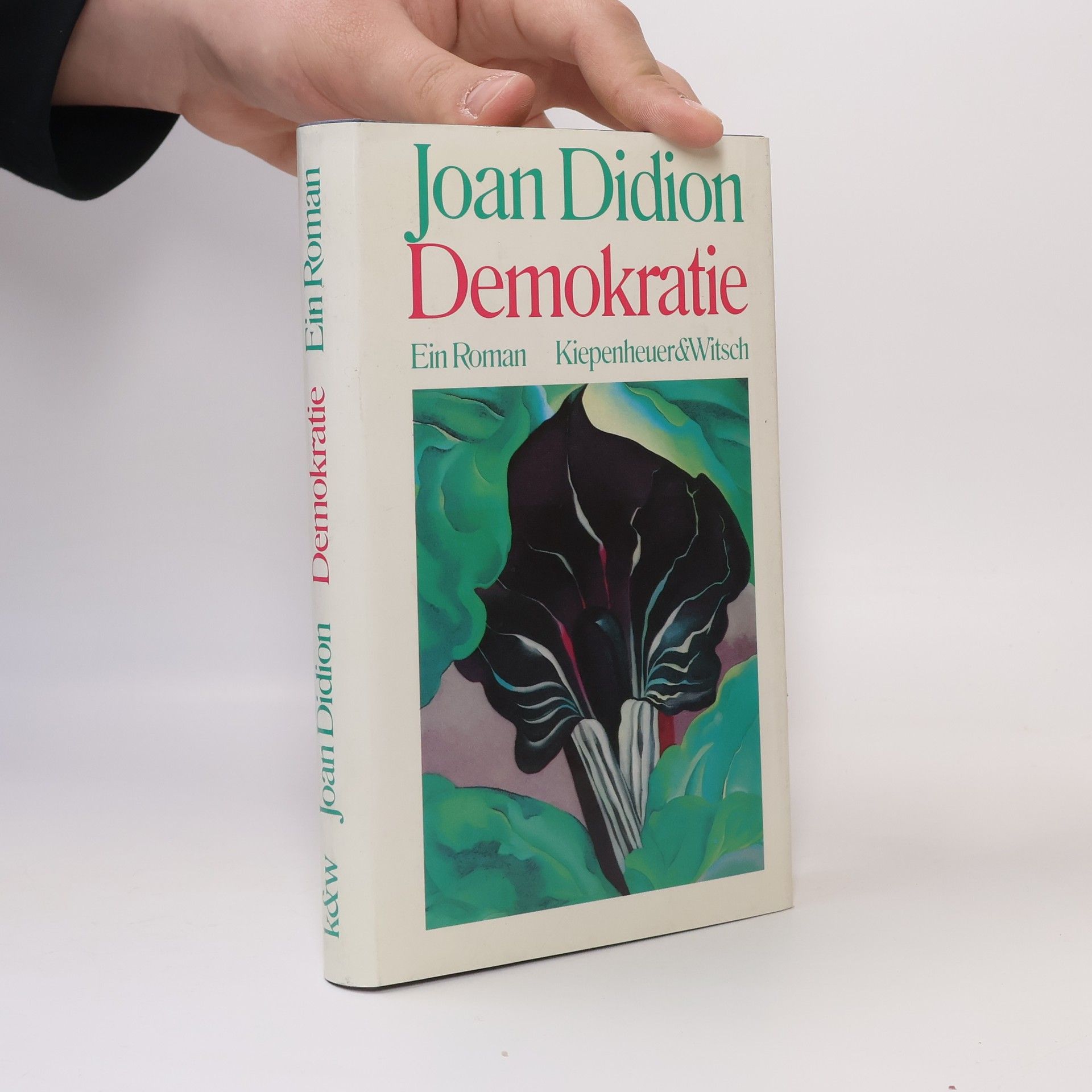 Joan Didion Demokratie