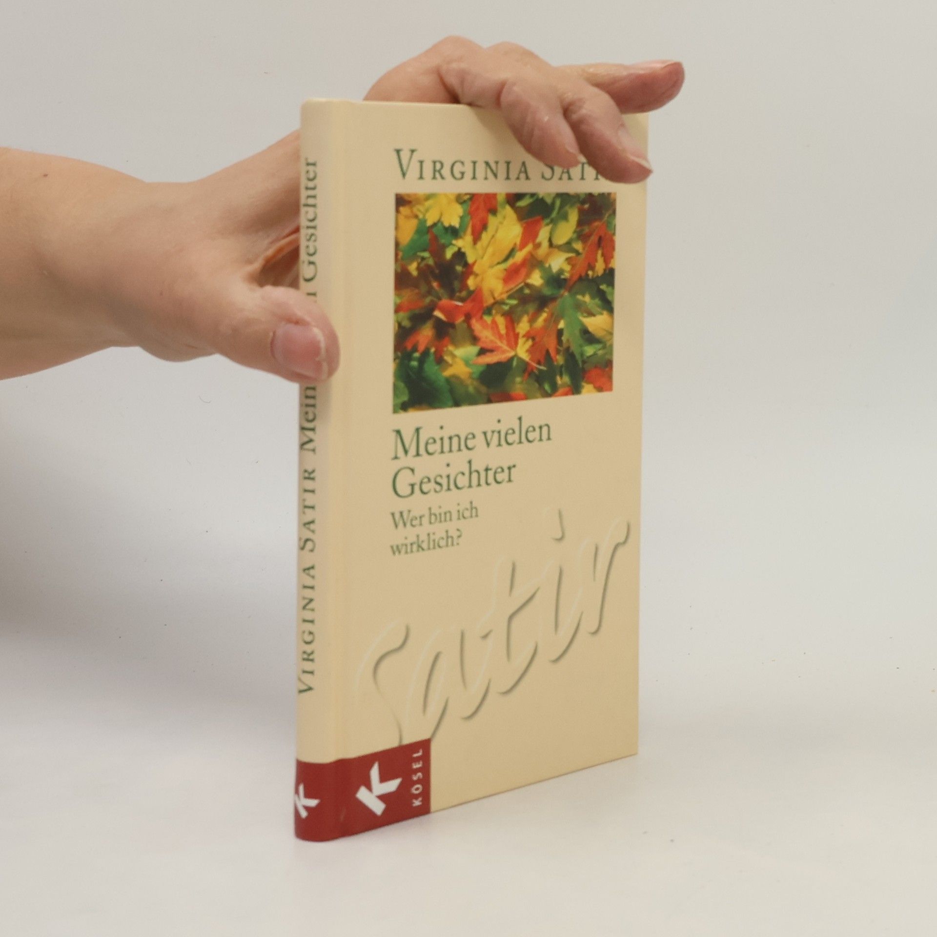 Virginia Satir Meine vielen Gesichter