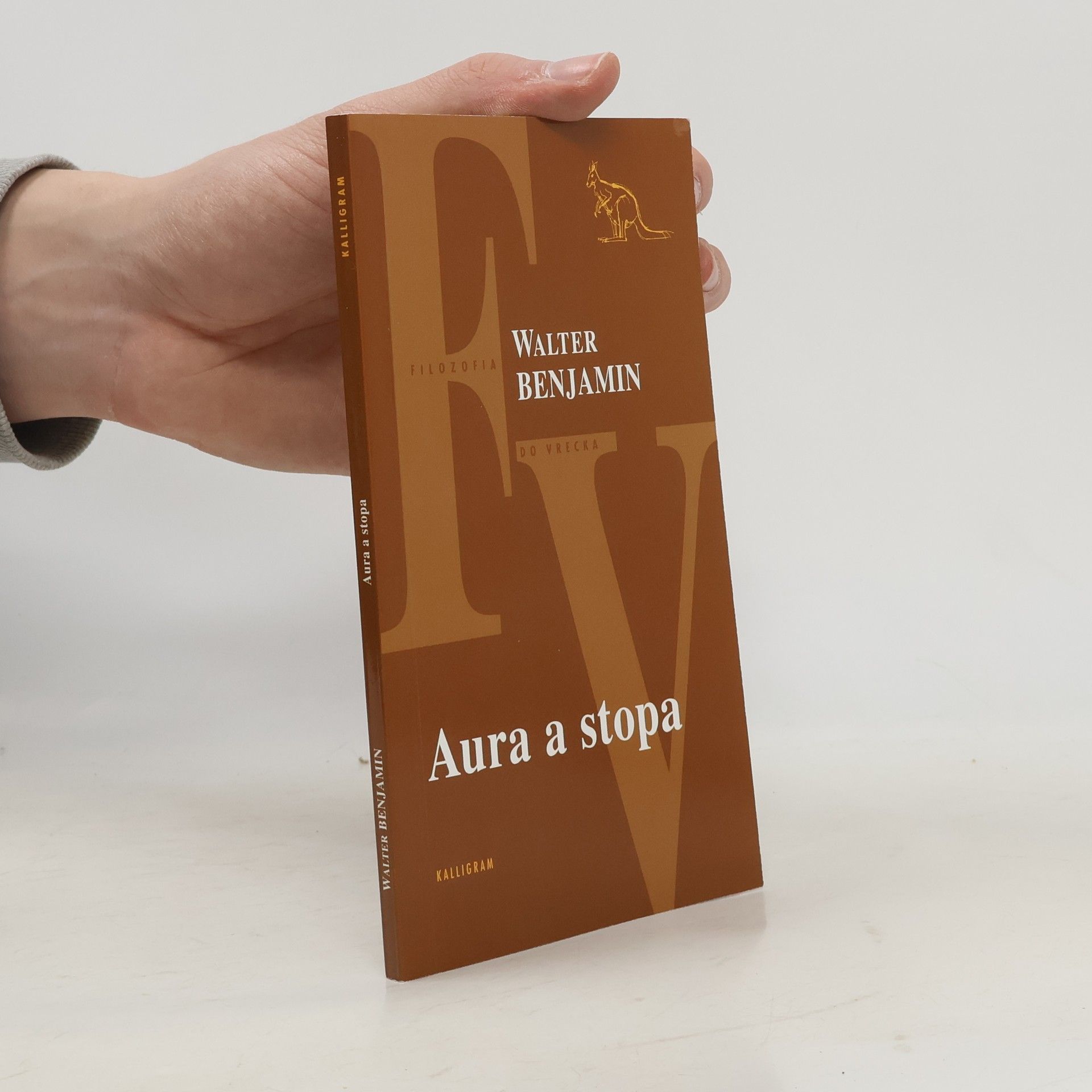 Walter Benjamin Aura a stopa