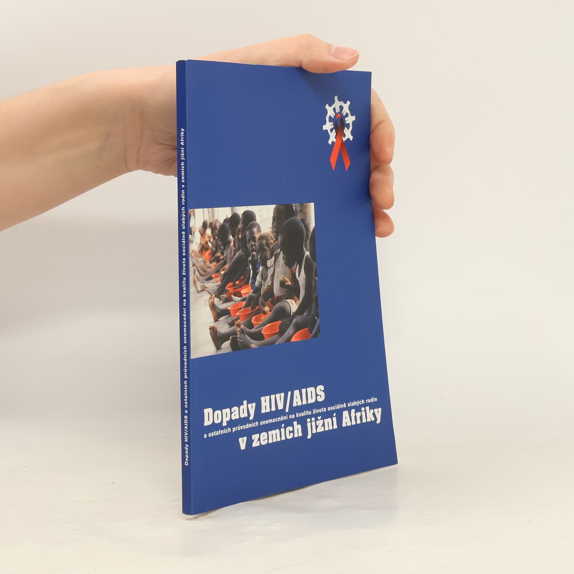 Dopady HIV/AIDS a ostaních průvodních onemocnění na kvalitu života sociálně slabých rodin v zemích jižní Afriky