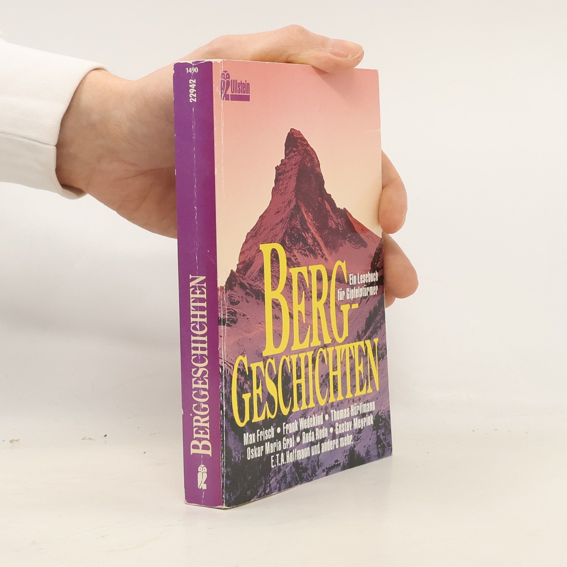 Michael Fischer Berggeschichten