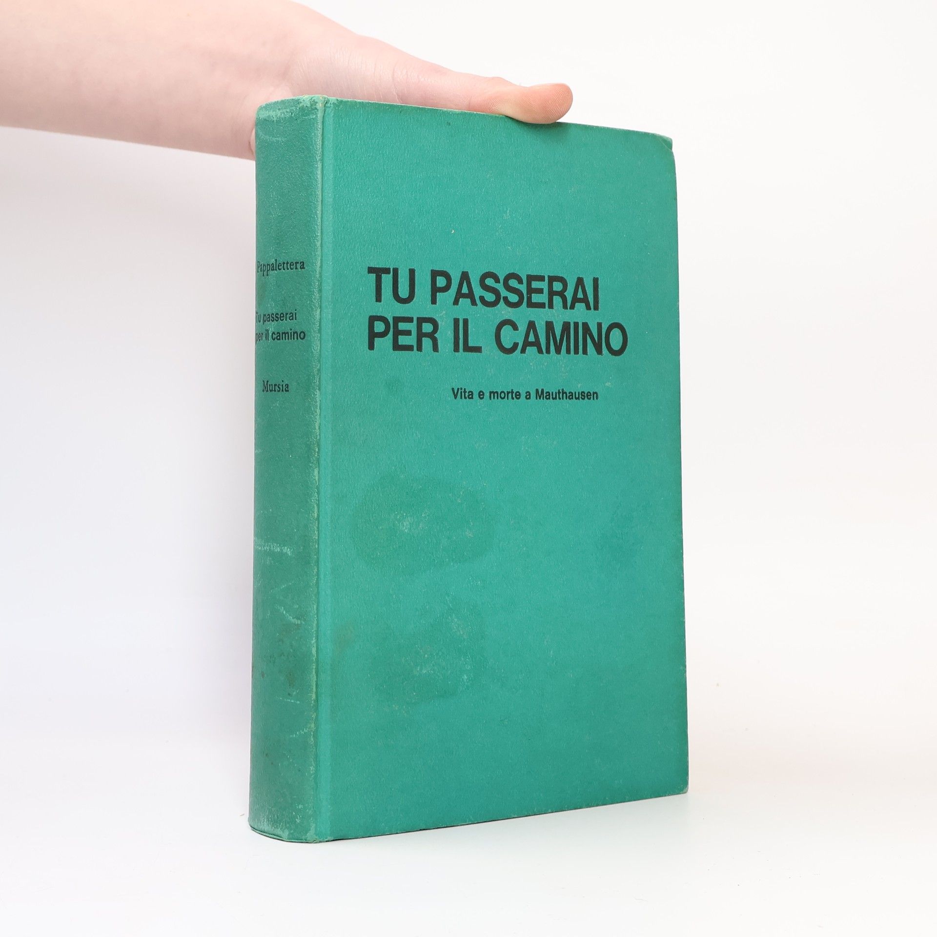 Vincenzo Pappalettera Tu passerai per il camino